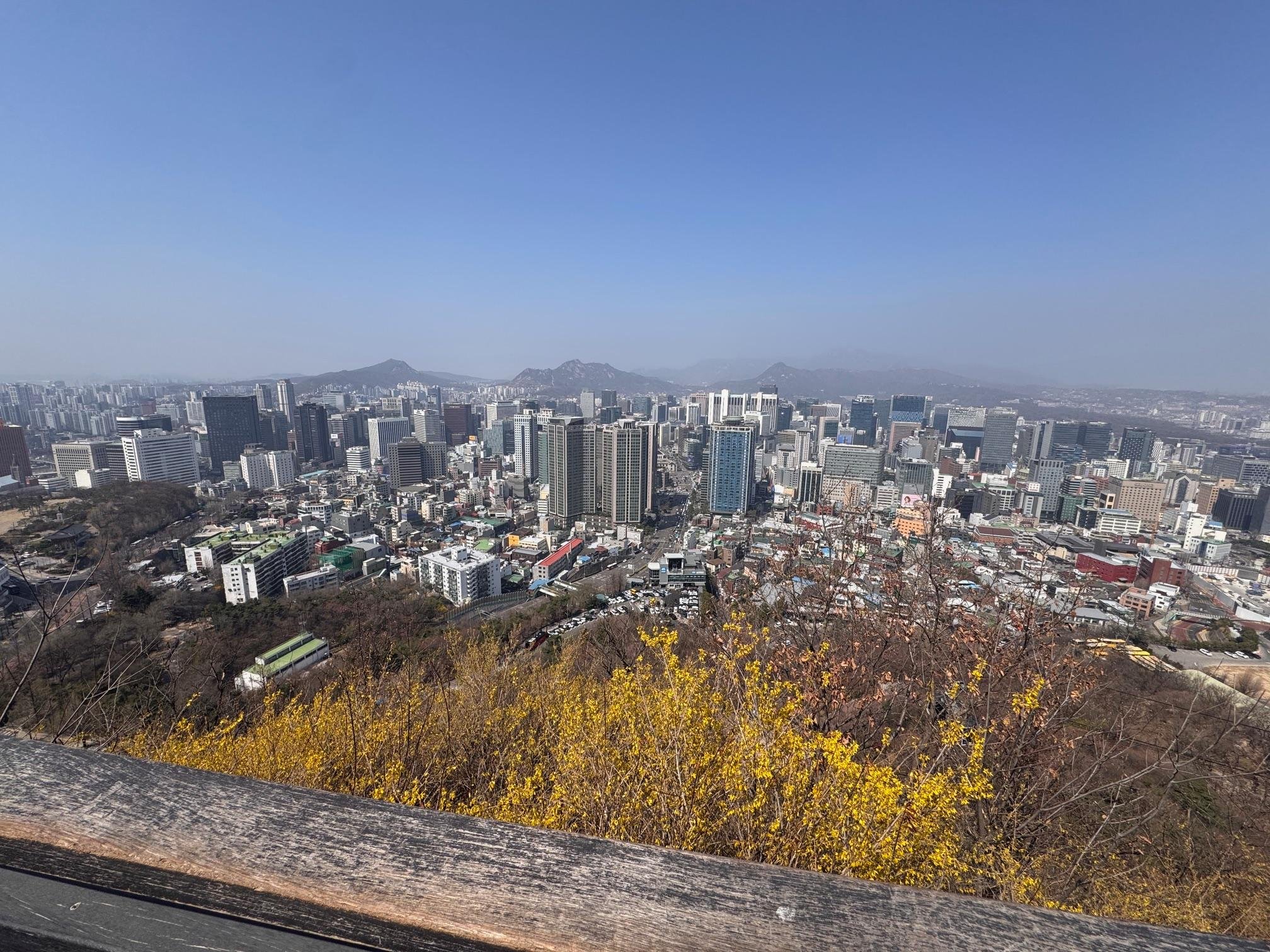 Namsan Mountain City Wall Hike & Namdaemun Noodle Lunch