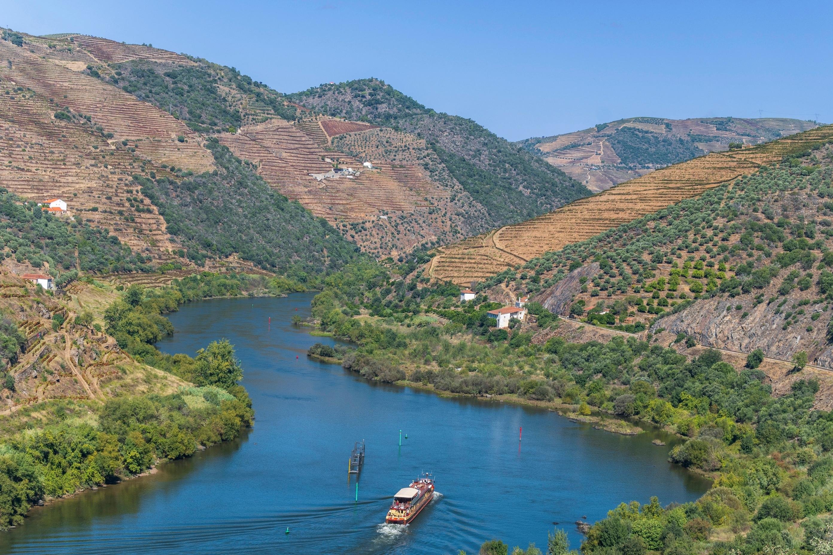 Guimarães & Douro Valley Wine Tour with River Cruise