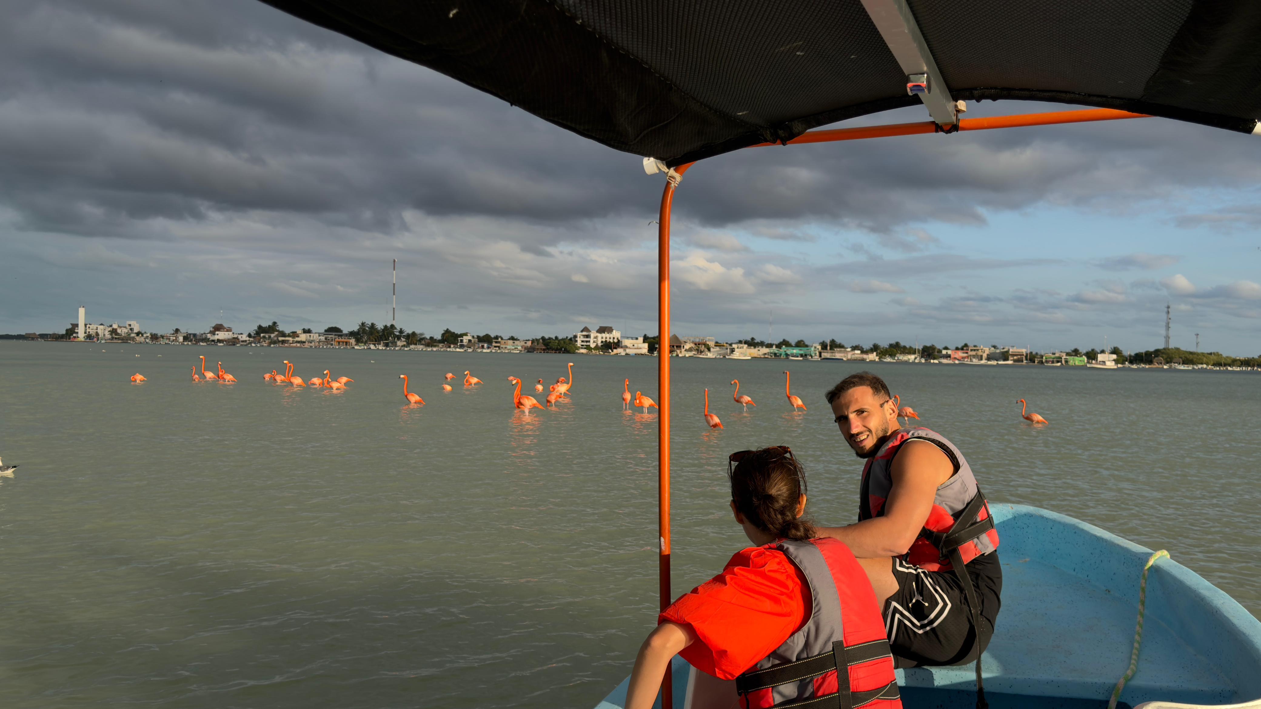 Río Lagartos Private Biosphere Tour – Flamingos, Mangroves & Pink Lakes