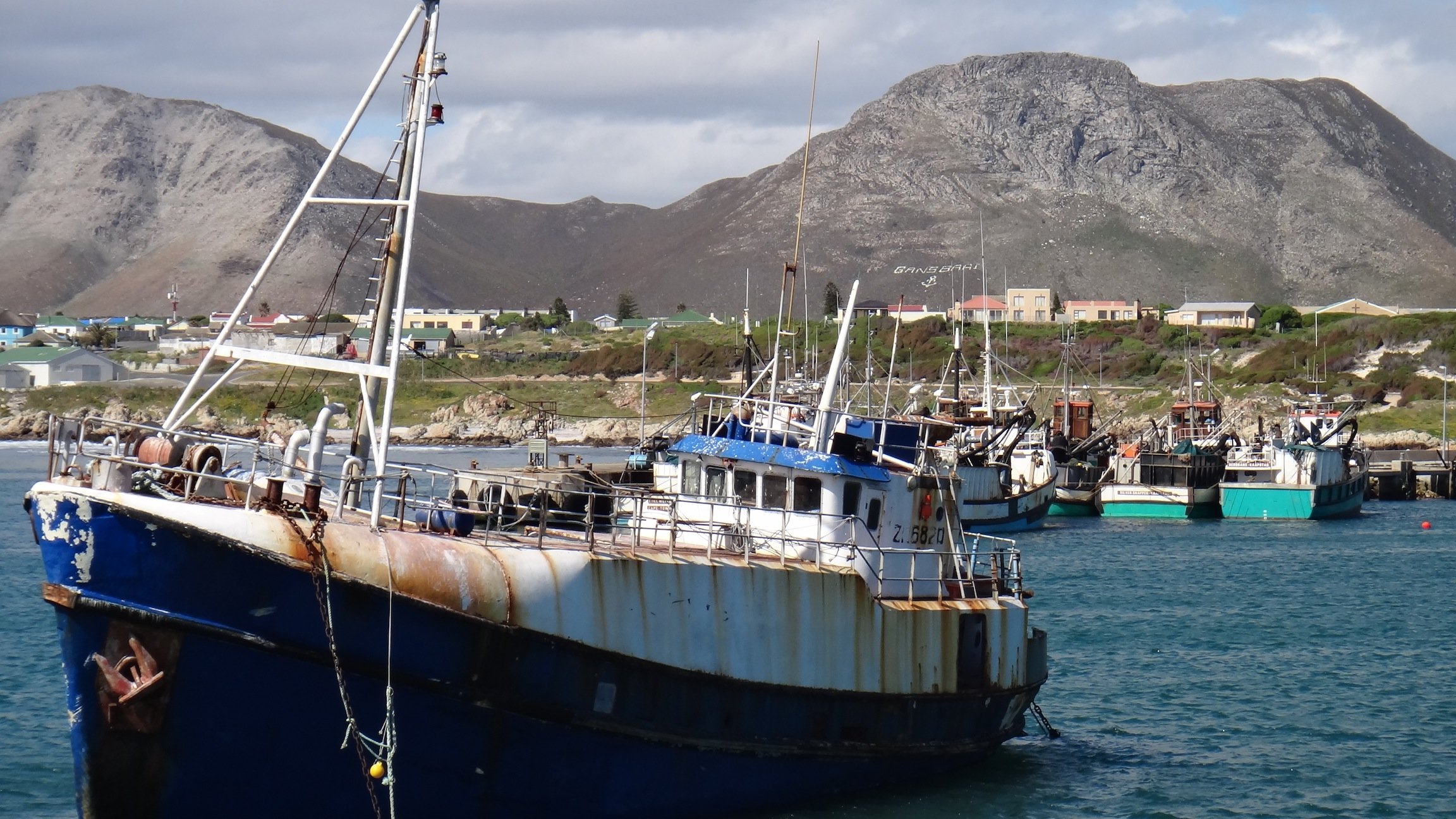 Cape Town: Great White Shark Cage Diving at Gansbaai