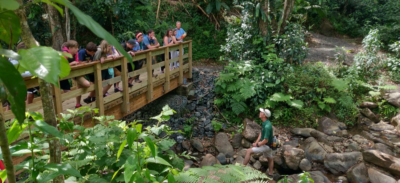 El Yunque Night Rainforest Walk