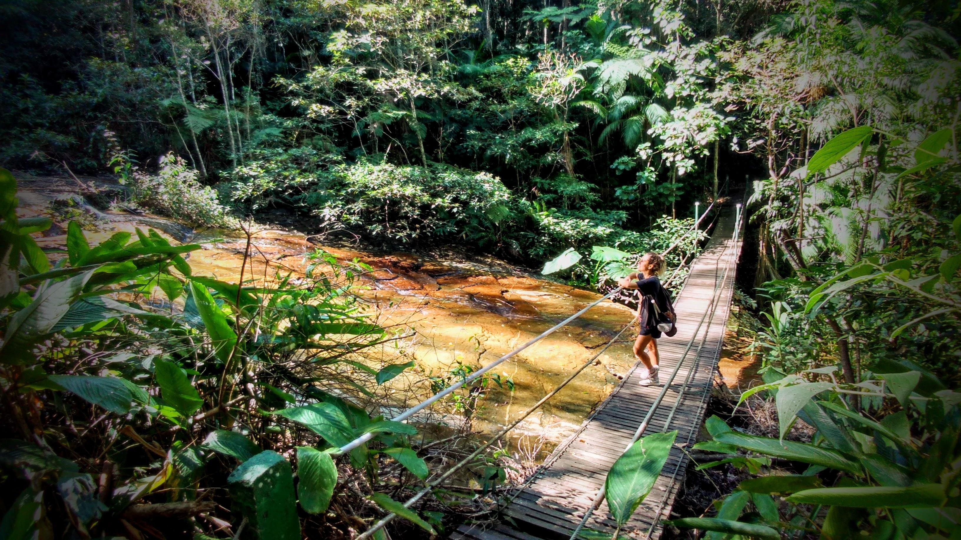 Tijuca Forest Hike: Waterfalls, Caves & Hidden Trails