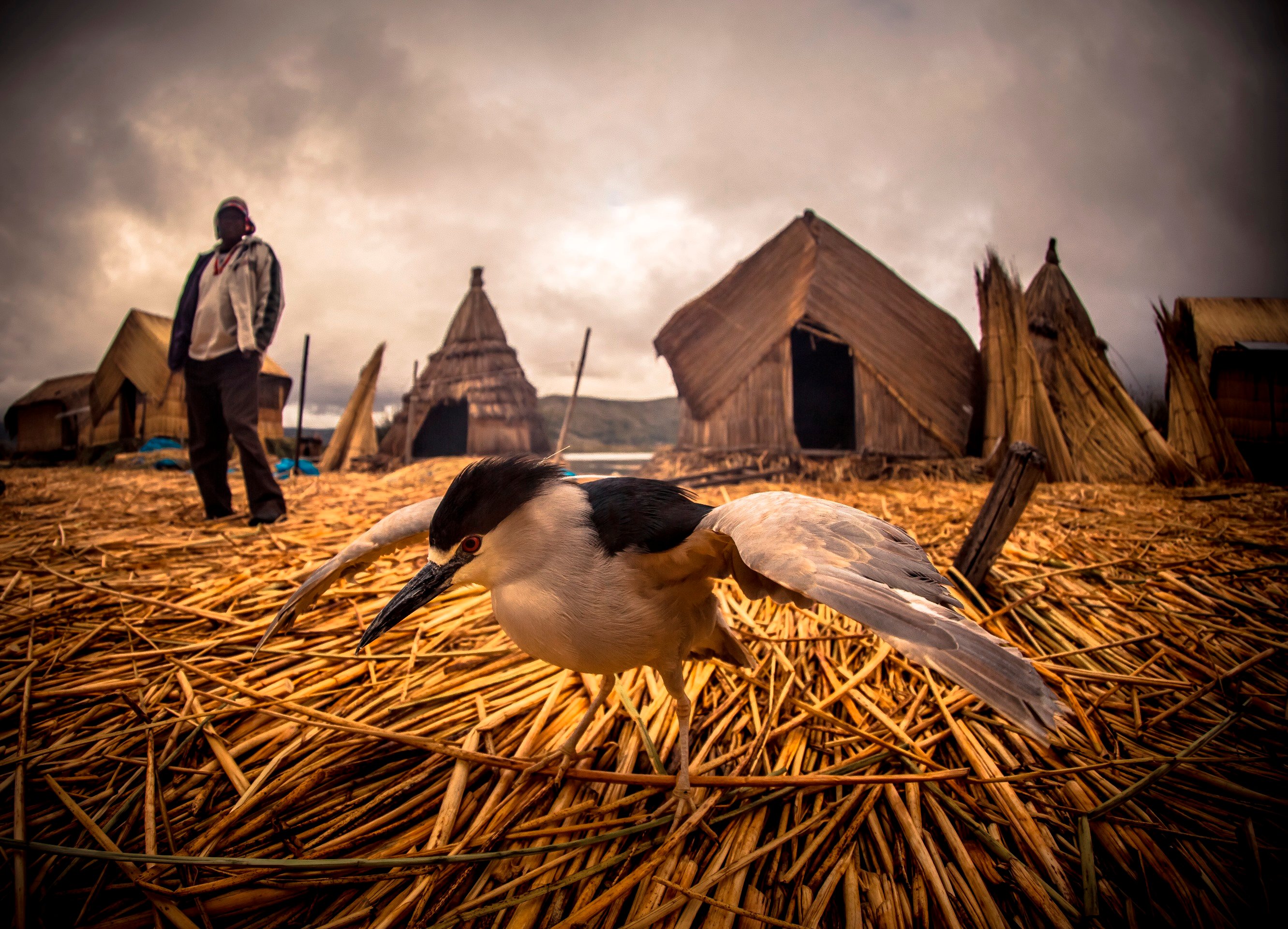 Puno: Uros and Taquile Islands Speedboat Adventure