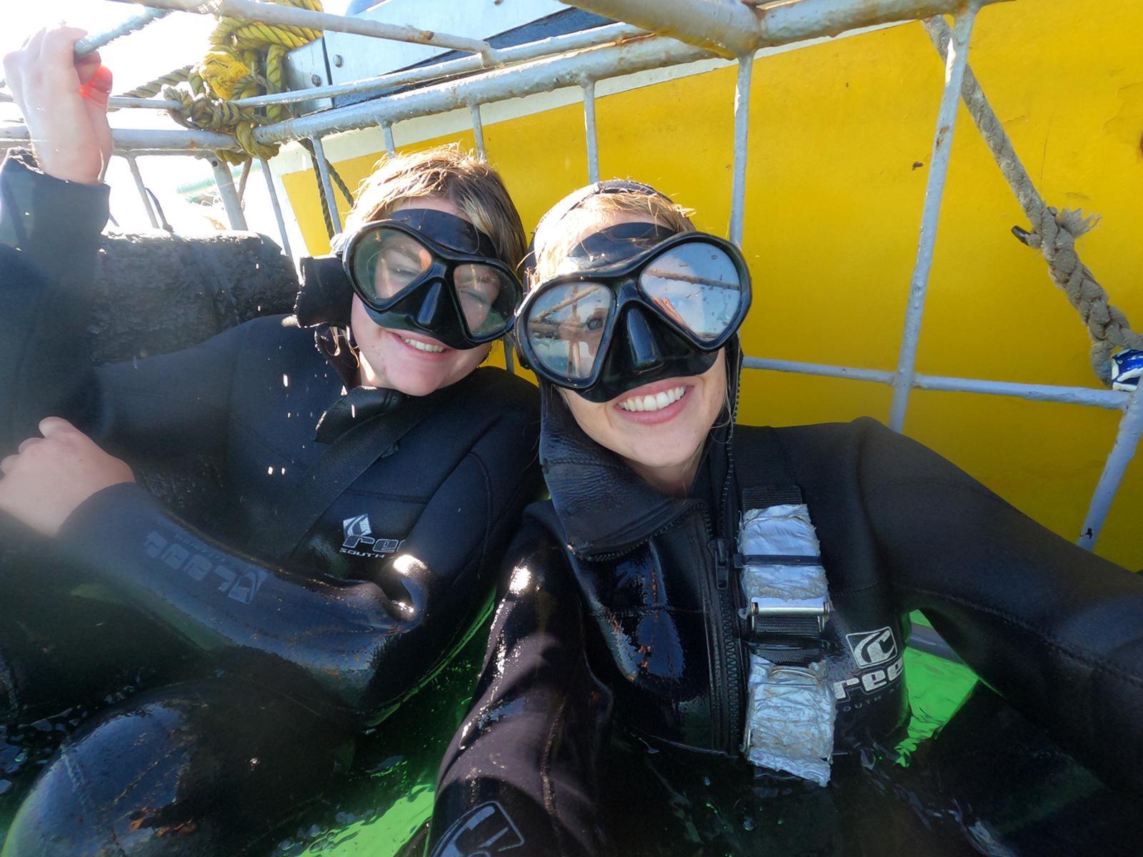 Shark Cage Diving from Cape Town or Hermanus – White Shark Projects