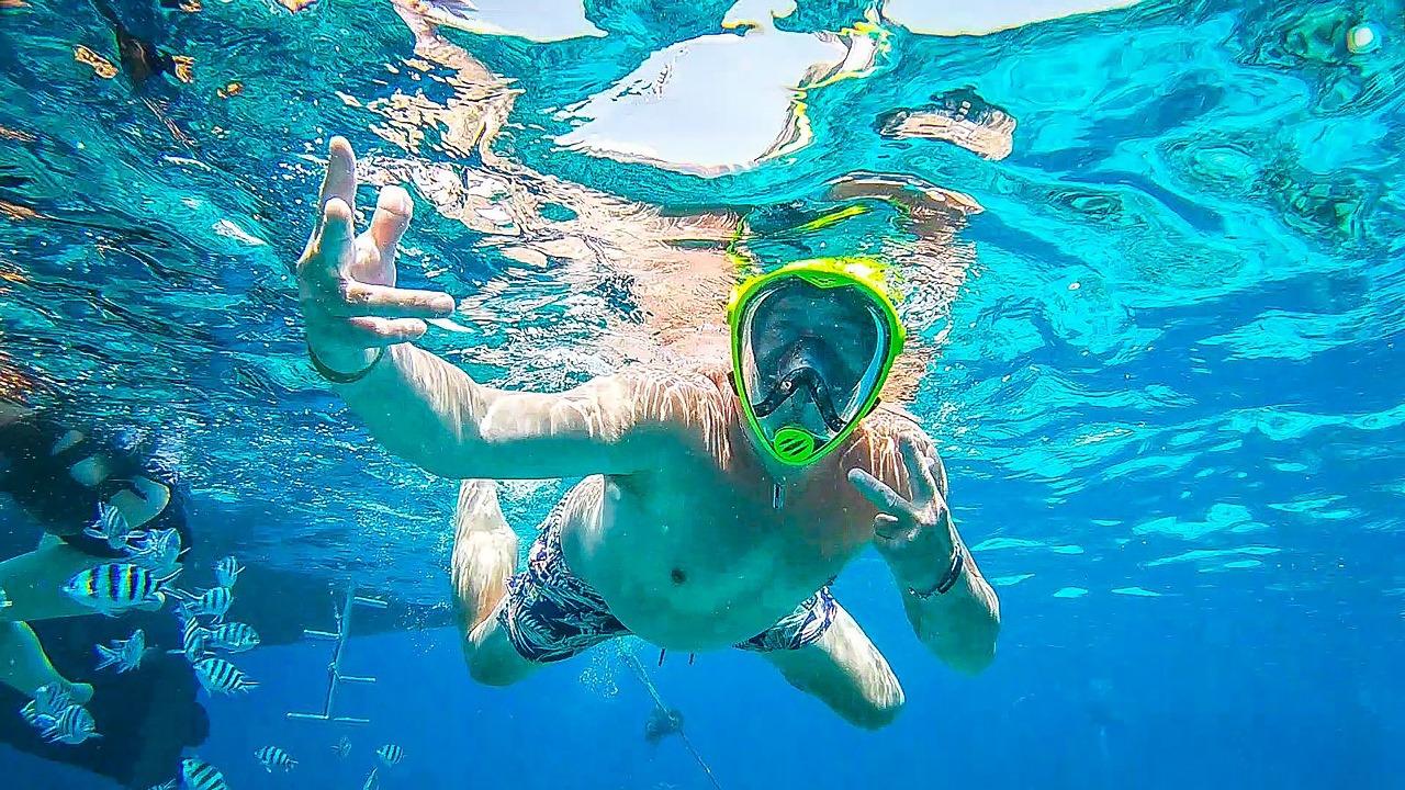 Sharm el-Sheikh: White Island & Ras Mohamed National Park Snorkeling Day Trip