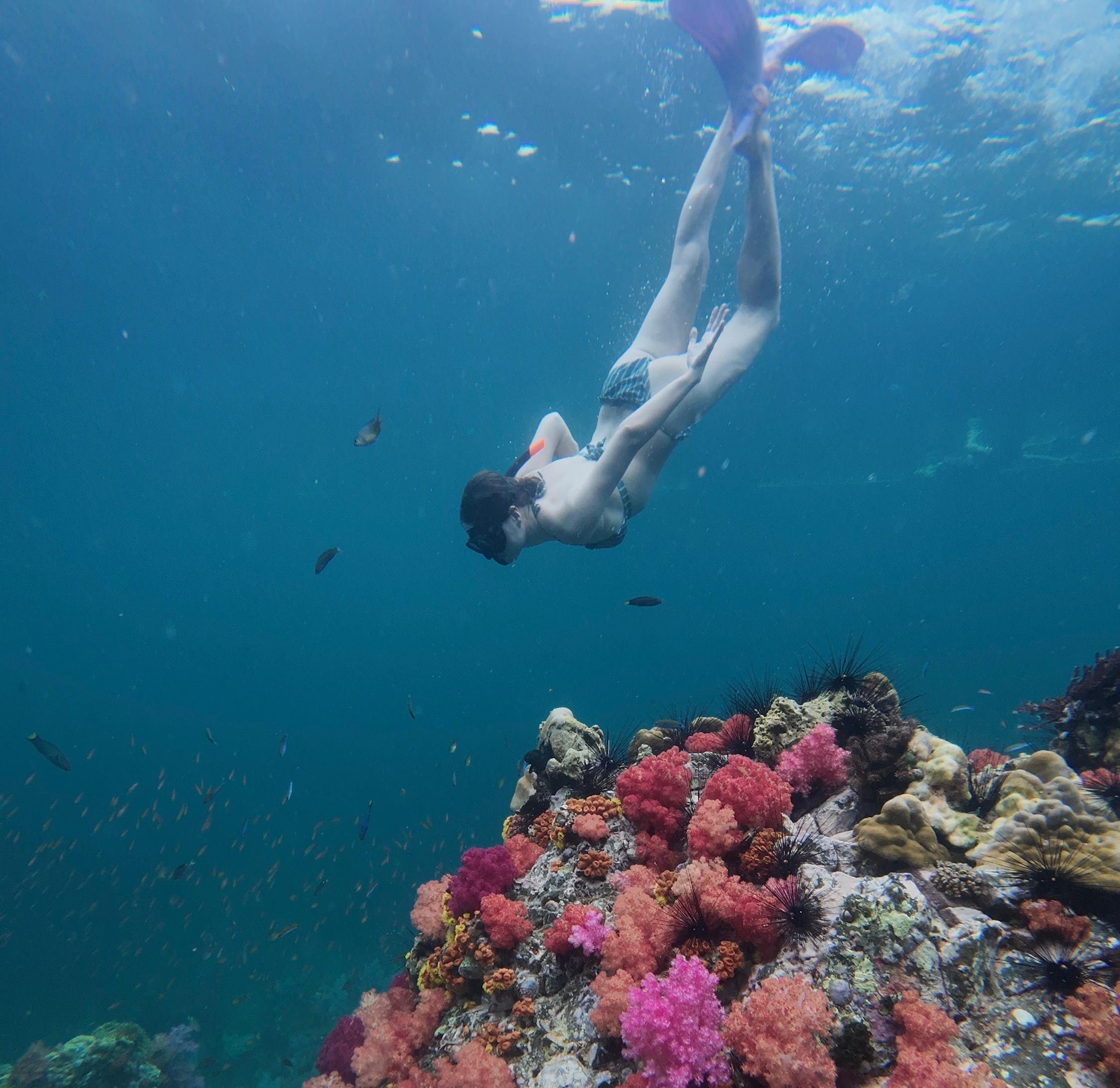 Koh Lipe Island Snorkeling Adventure by Longtail Boat