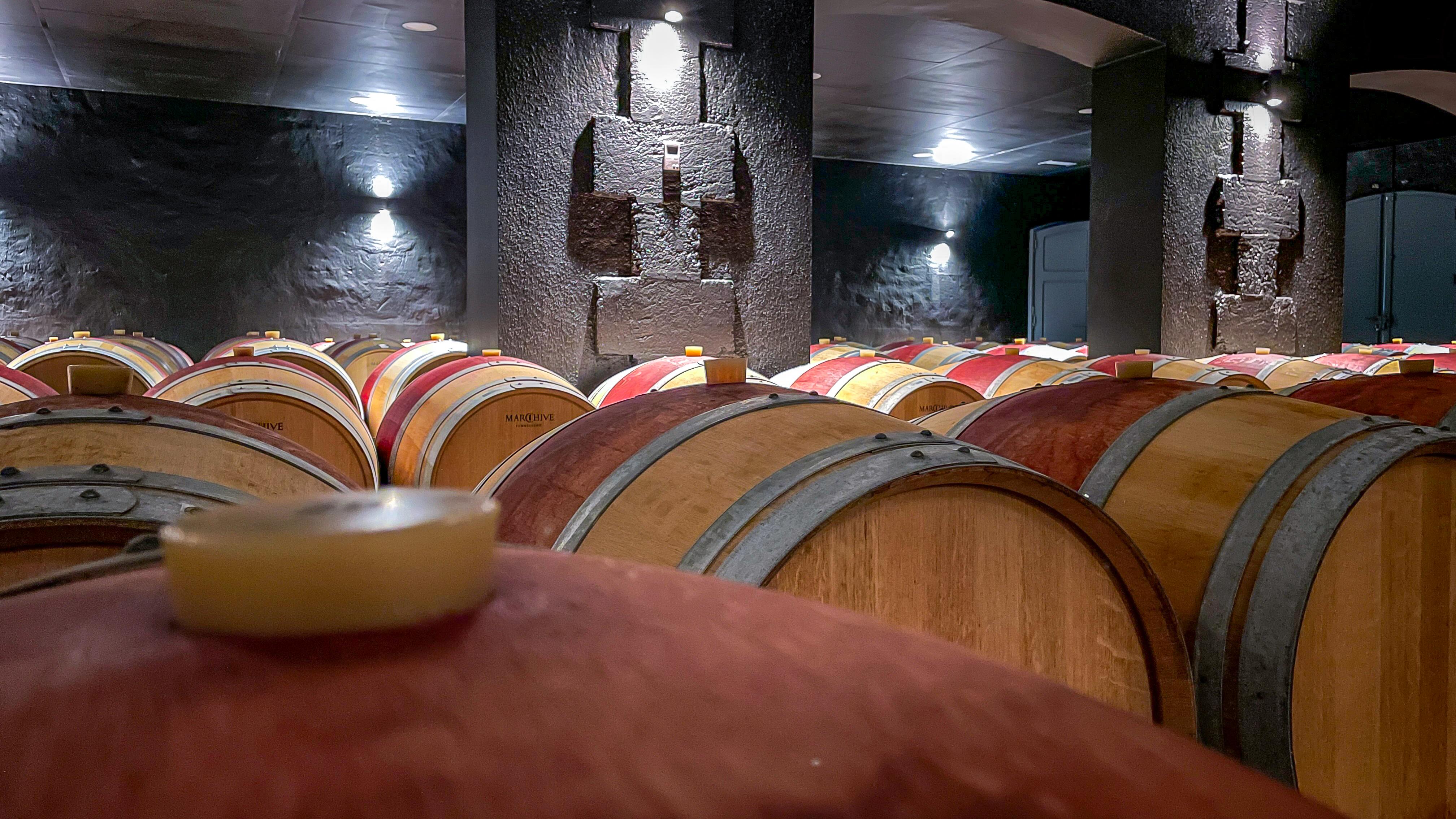 wine tour in Bordeaux — photo 4