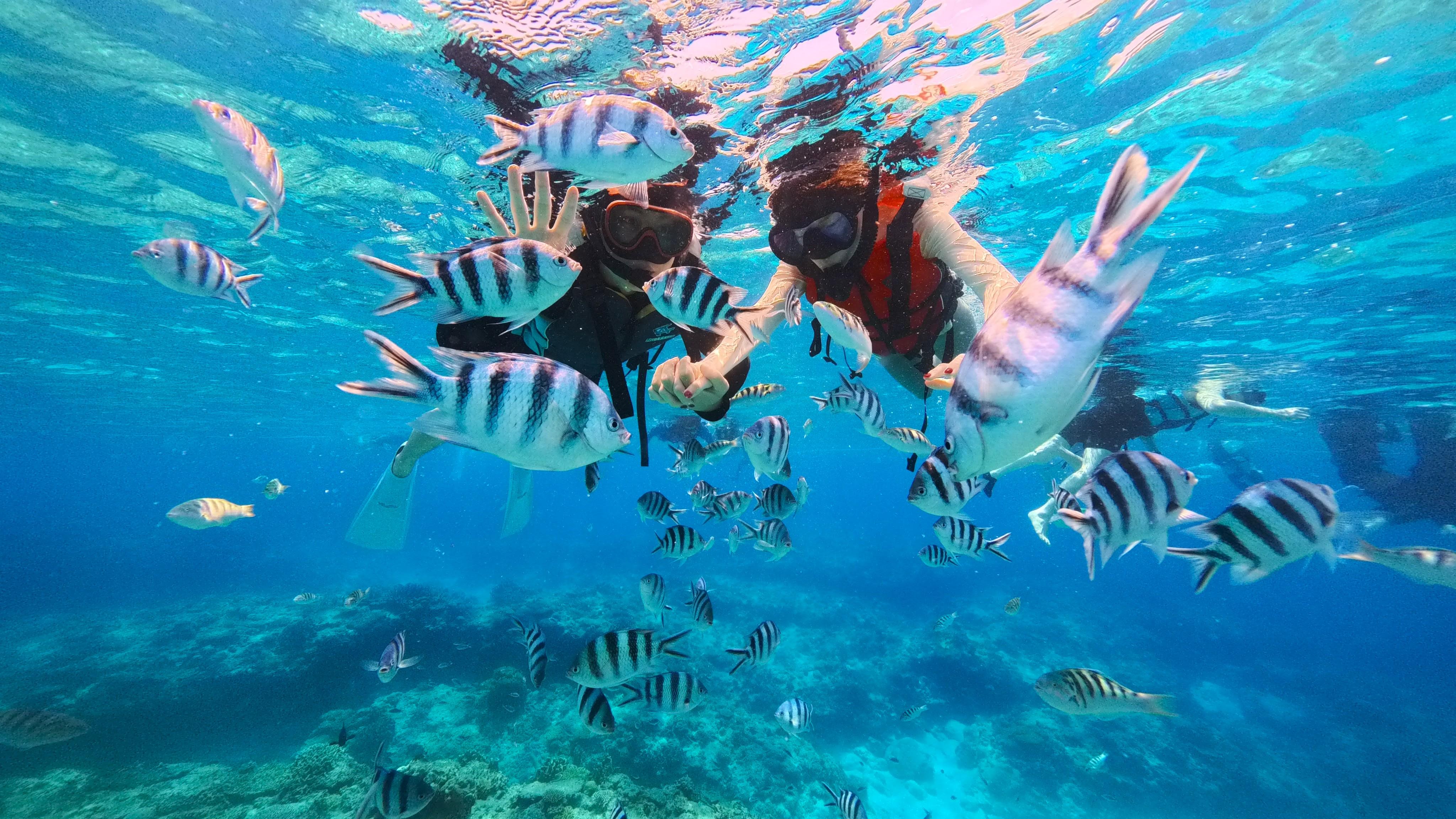 Naha or Chatan: Full‑Day Snorkeling in Kerama National Park