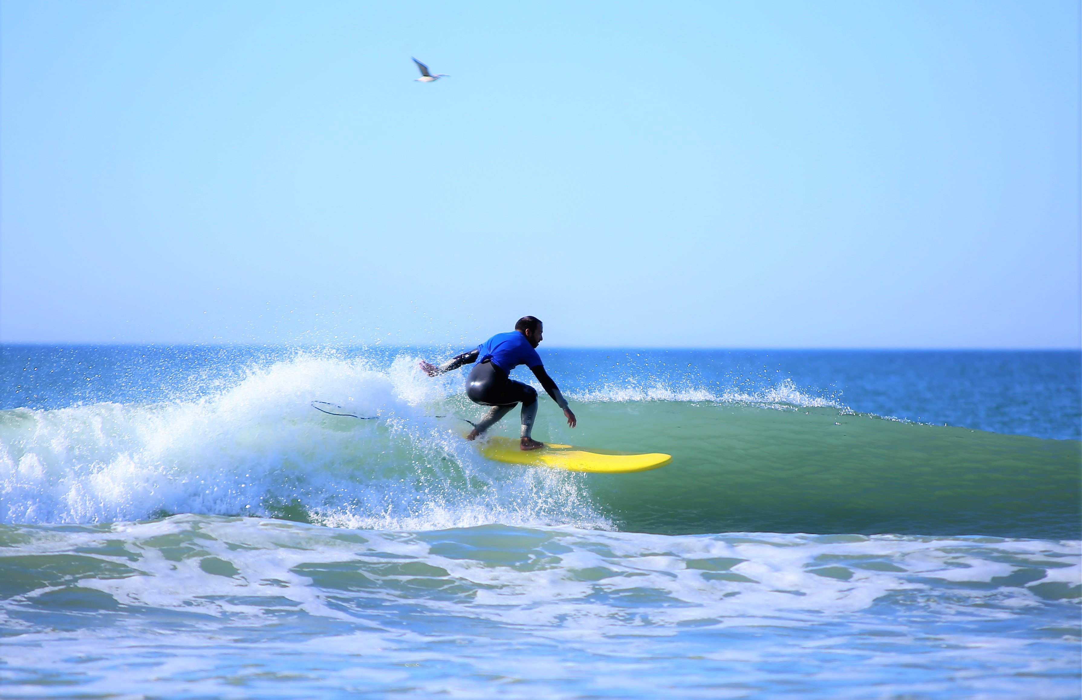 Galé Beach Surf Lesson in Albufeira