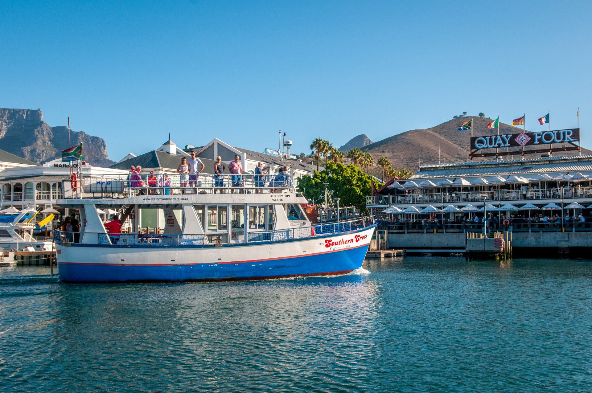 V&A Waterfront Harbour Cruise & Seal Spotting