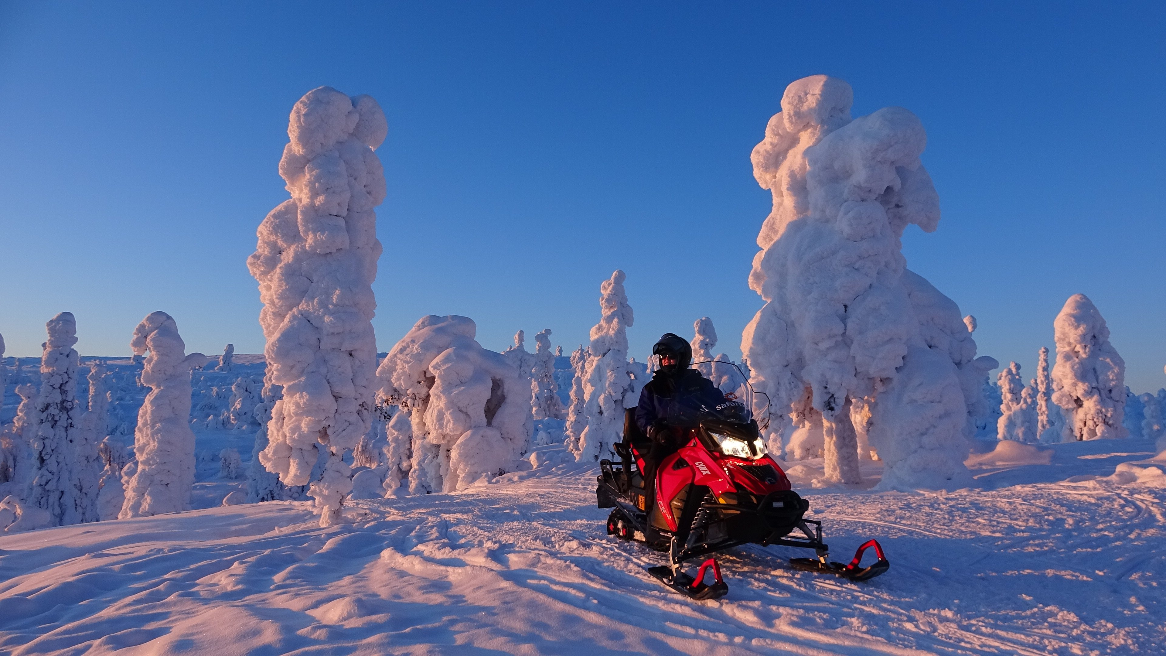 Evening Snowmobile Safari in Levi