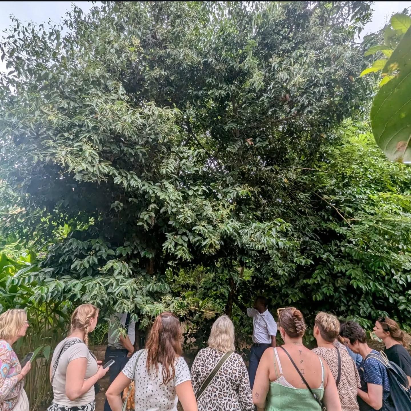 Zanzibar Full-Day: Stone Town, Spice Farm & Prison Island with Lunch