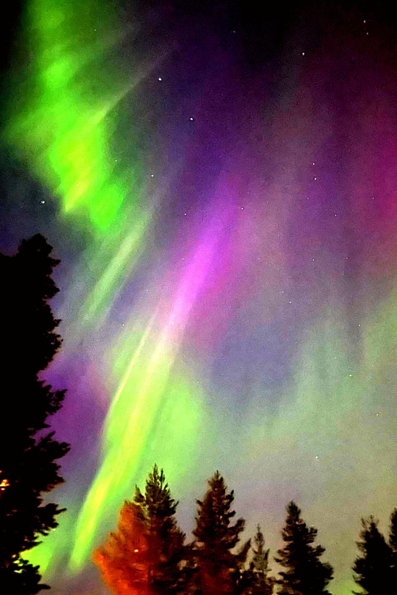 Rovaniemi Reindeer, Husky & Northern Lights BBQ Safari