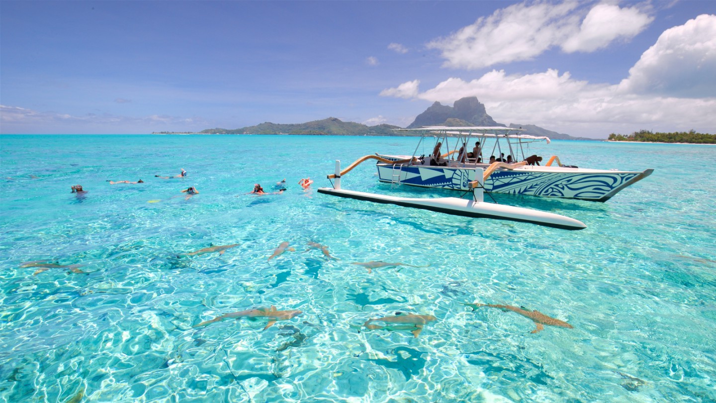 Bora Bora Lagoon Snorkeling Adventure