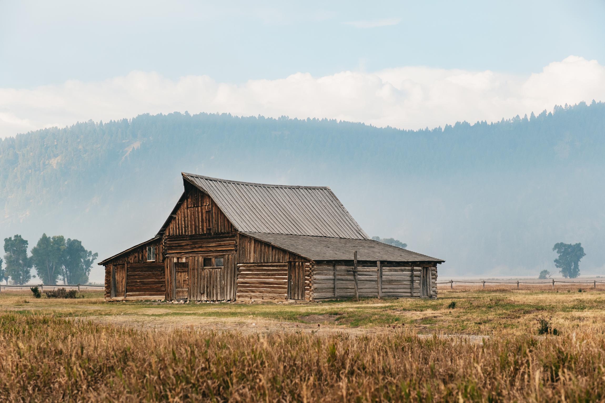 Grand Teton National Park Wildlife Safari