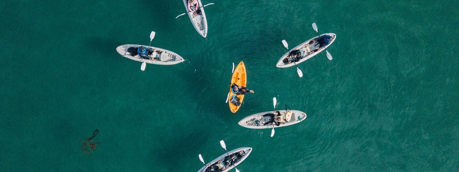 La Jolla: Sea Cave Kayaking Tour with Guide - 2026 (Verified Reviews)