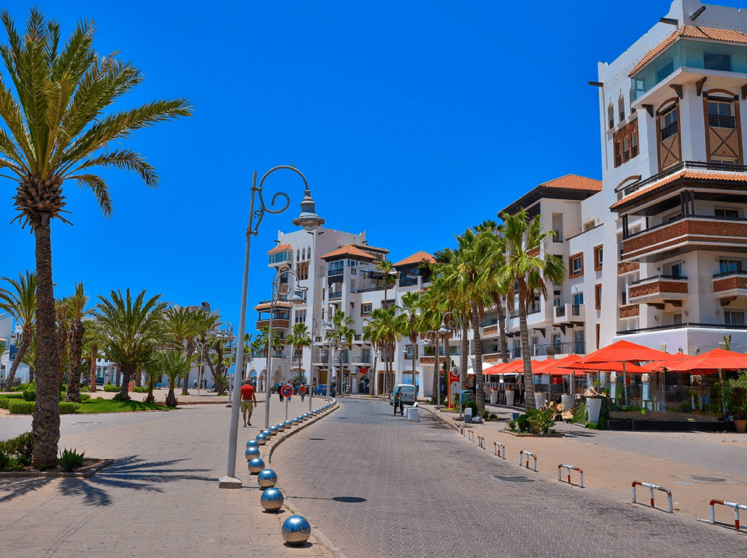 Agadir Highlights: Crocodile Park, Medina & Camel Trek