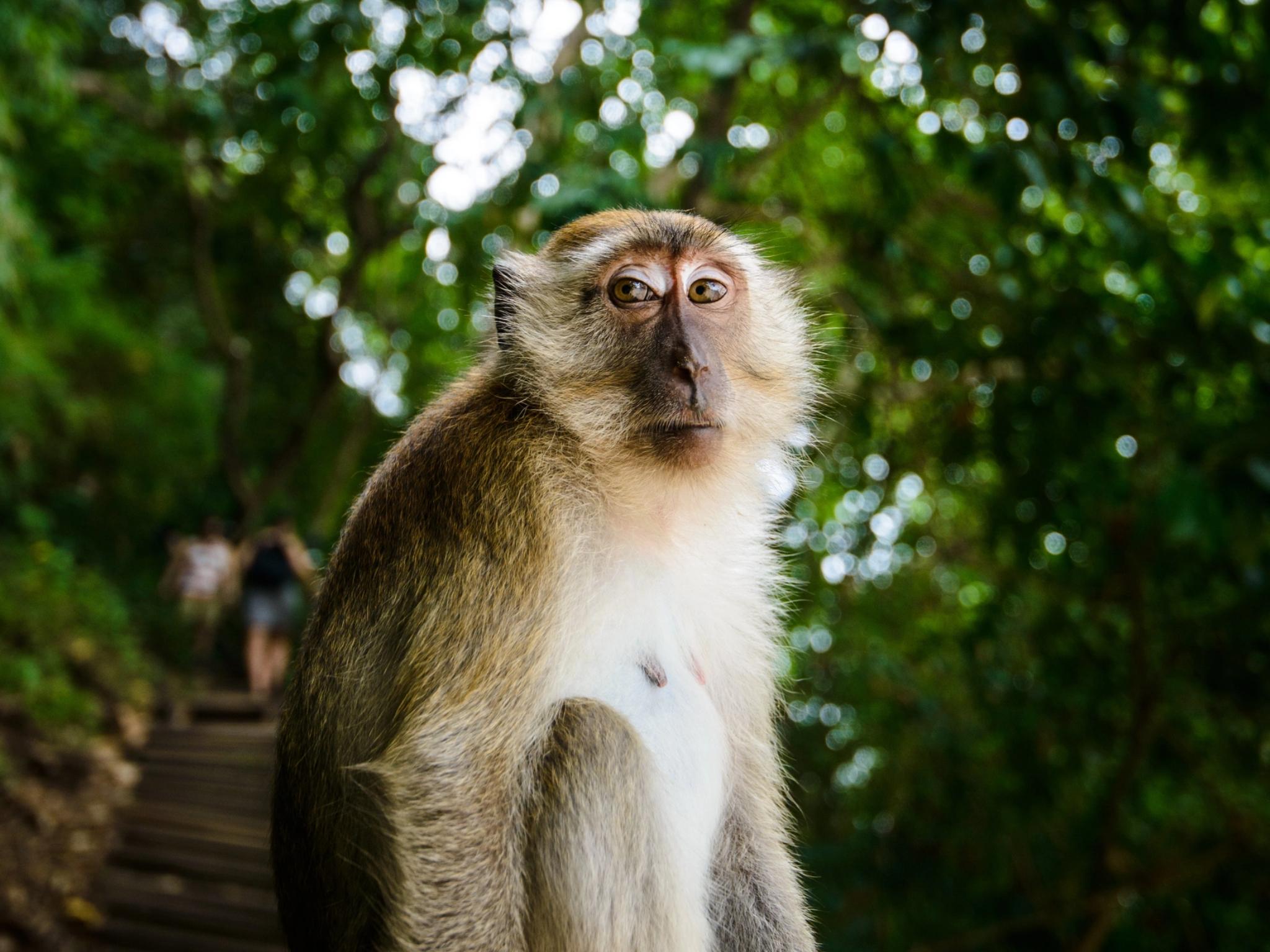 Krabi to James Bond Island & Phang Nga Bay by Longtail Boat