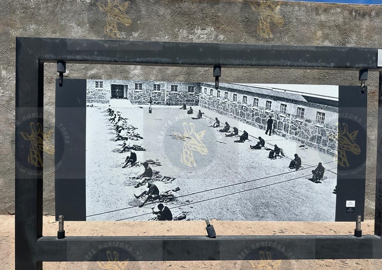 Robben Island Ferry, Prison & Guided Tour from Cape Town