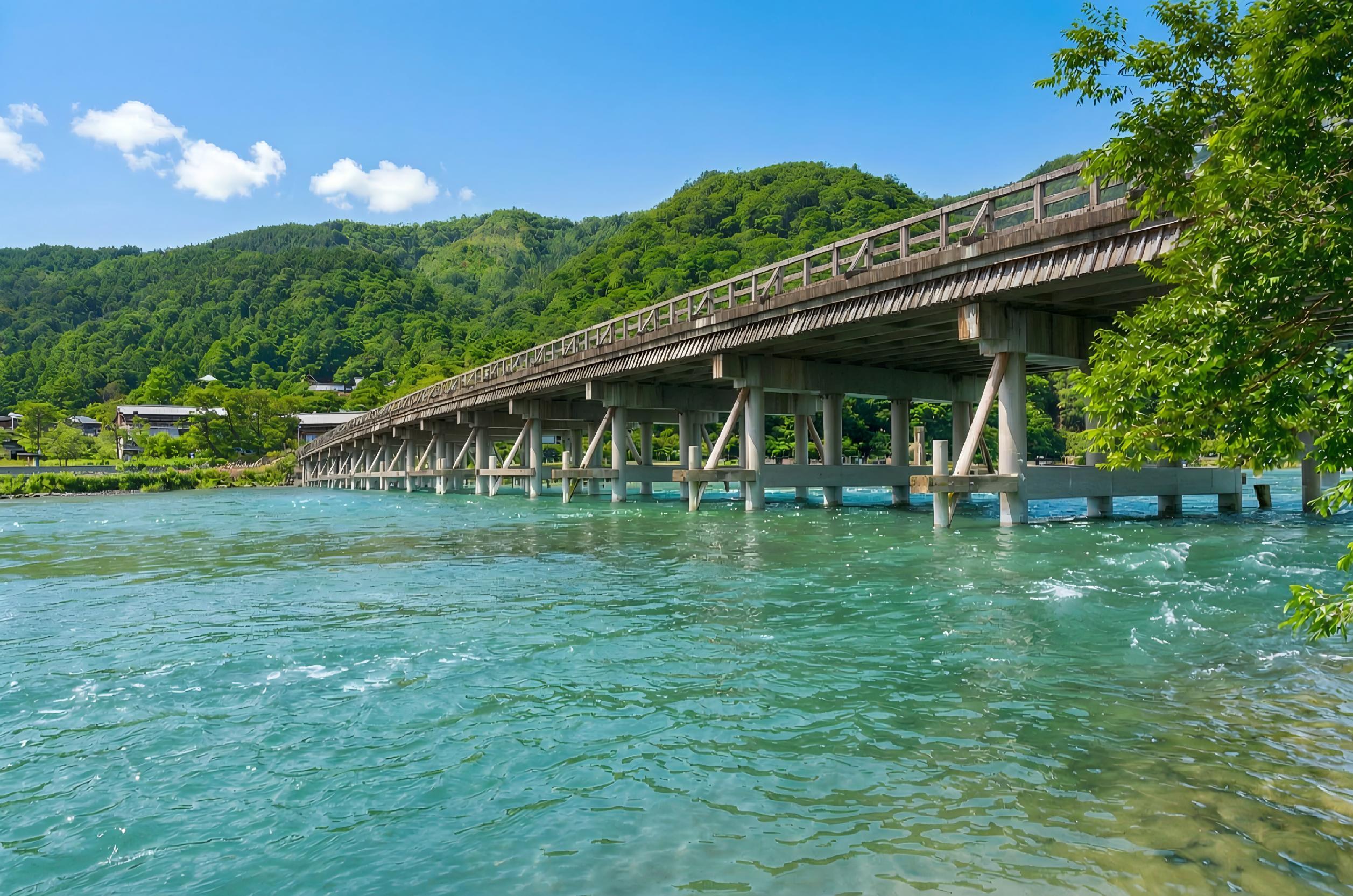Kyoto & Arashiyama Cultural Explorer Day Trip