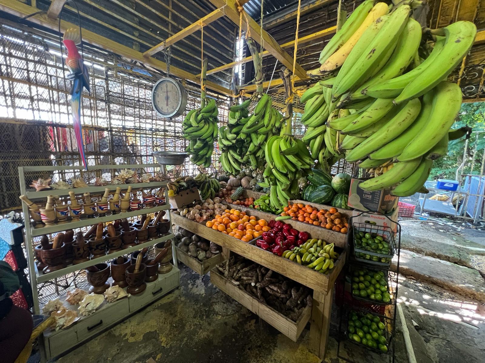 El Yunque Rainforest Adventure: Waterfalls, Slides & Luquillo Beach