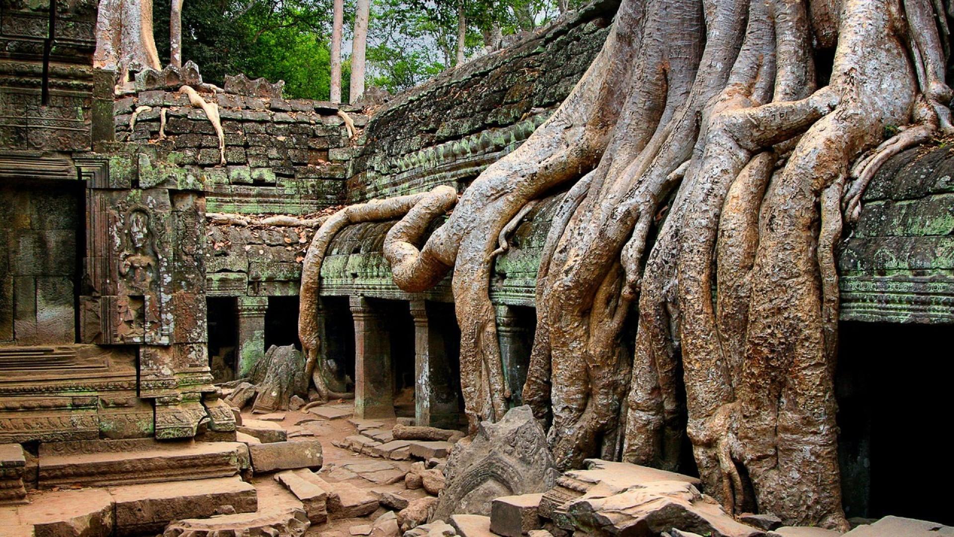 Angkor Wat Small-Group Sunrise or Sunset Expedition