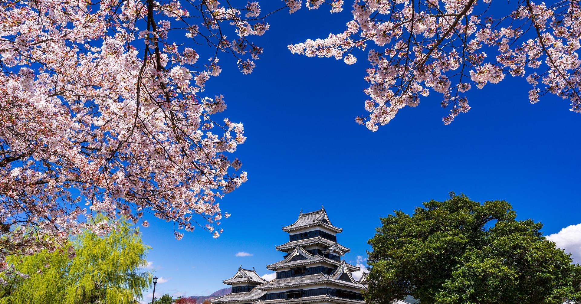 Nagano Snow Monkey & Zenkoji Temple Private Day Tour from Tokyo