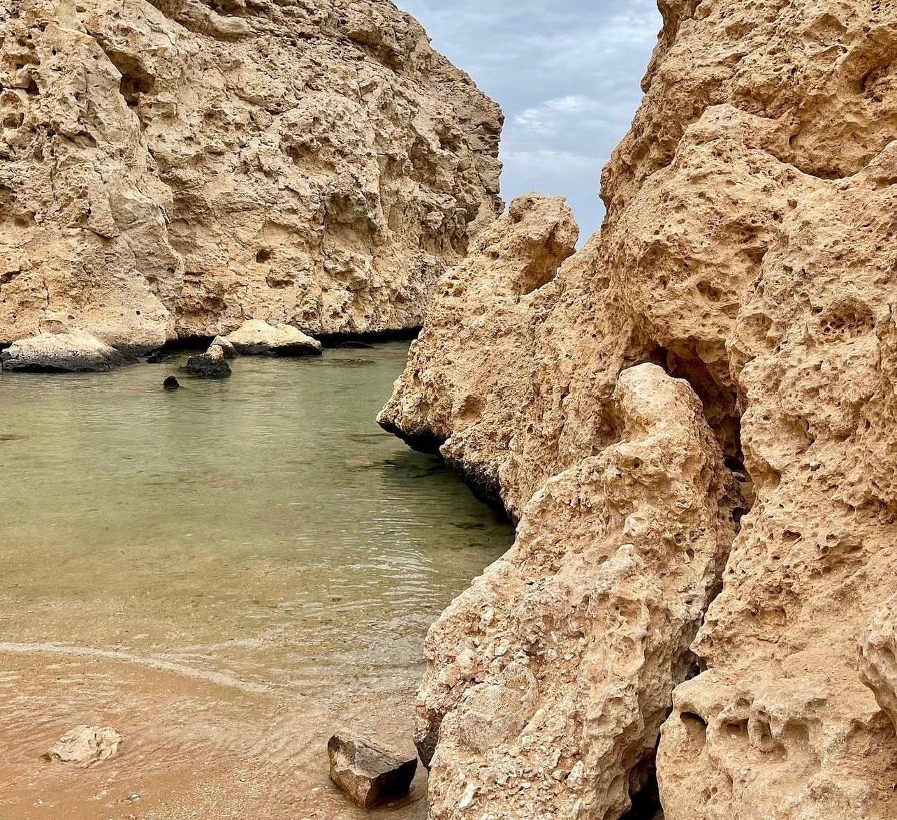 Ras Mohammed National Park Half-Day Bus Tour