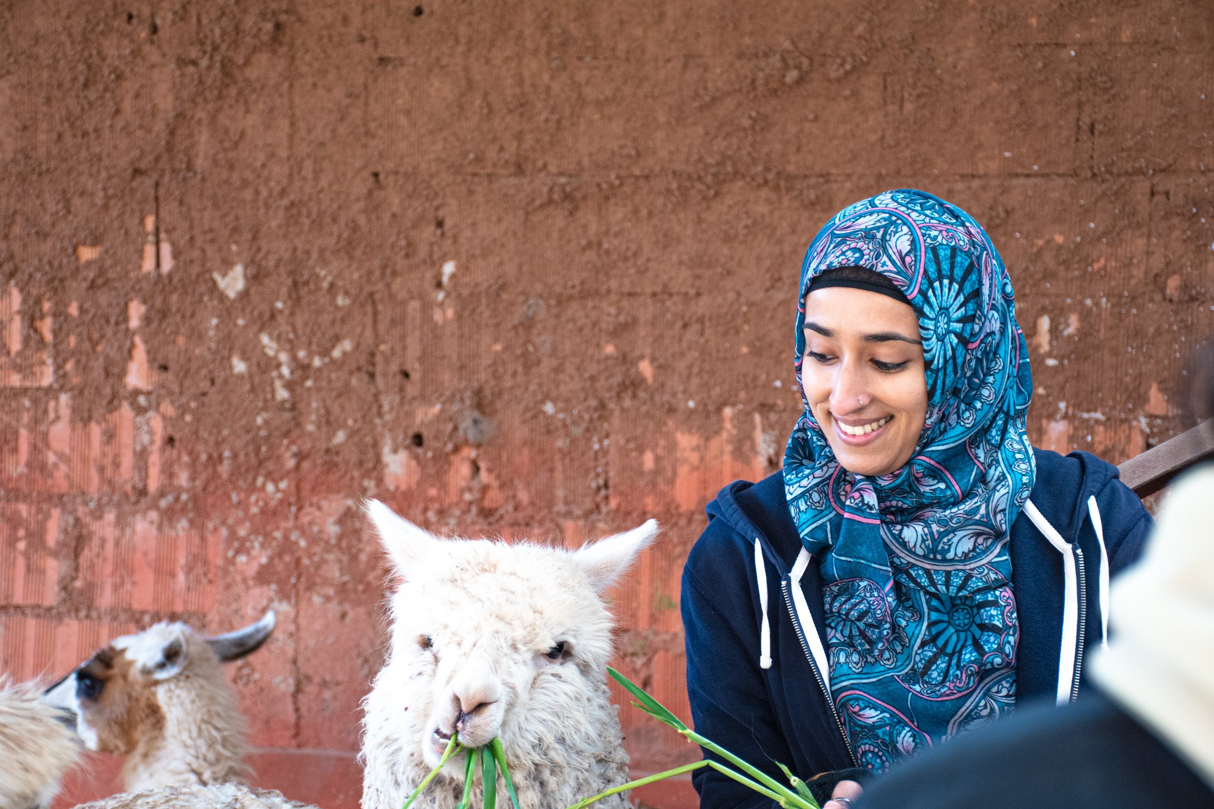 Sacred Valley tour from Cusco — image 19