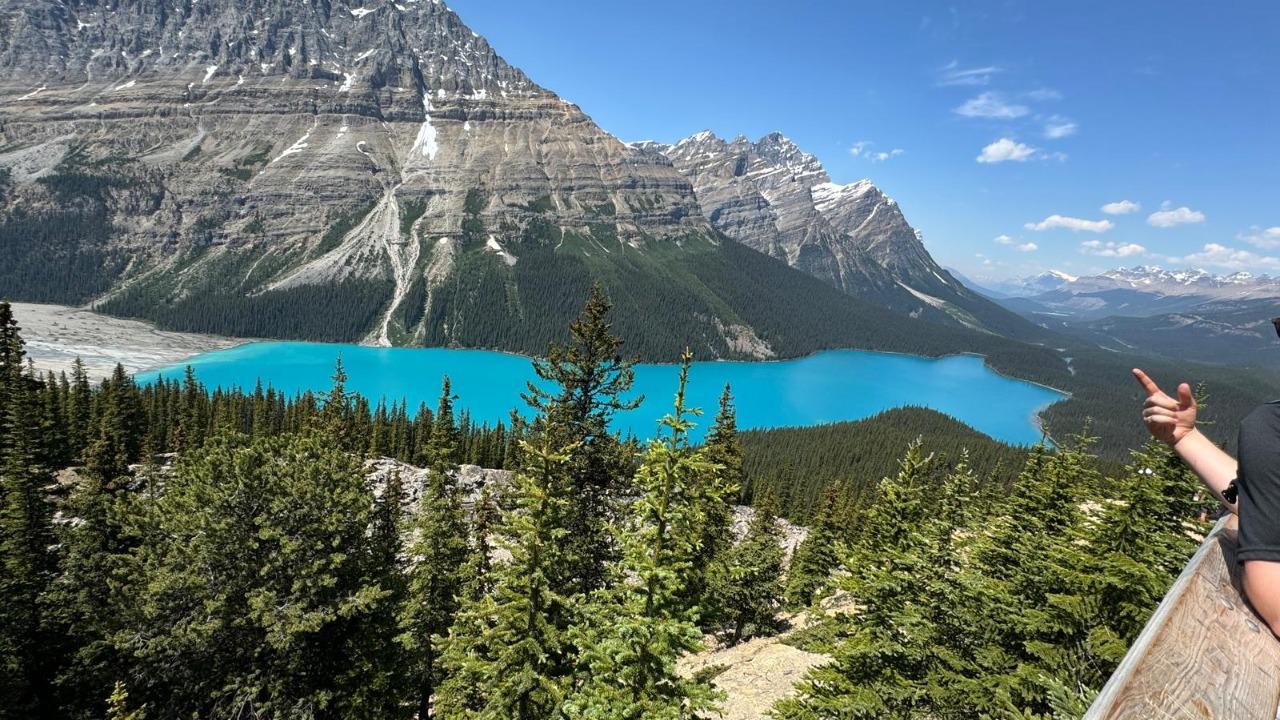 Icefields Parkway tour — Columbia Icefield, Peyto Lake and Bow Lake, Alberta — image 6