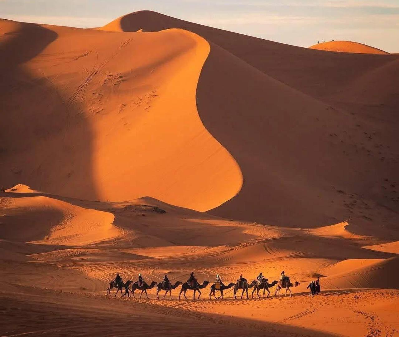 3-Day Sahara Desert Safari: Dunes, Camels & Kasbahs