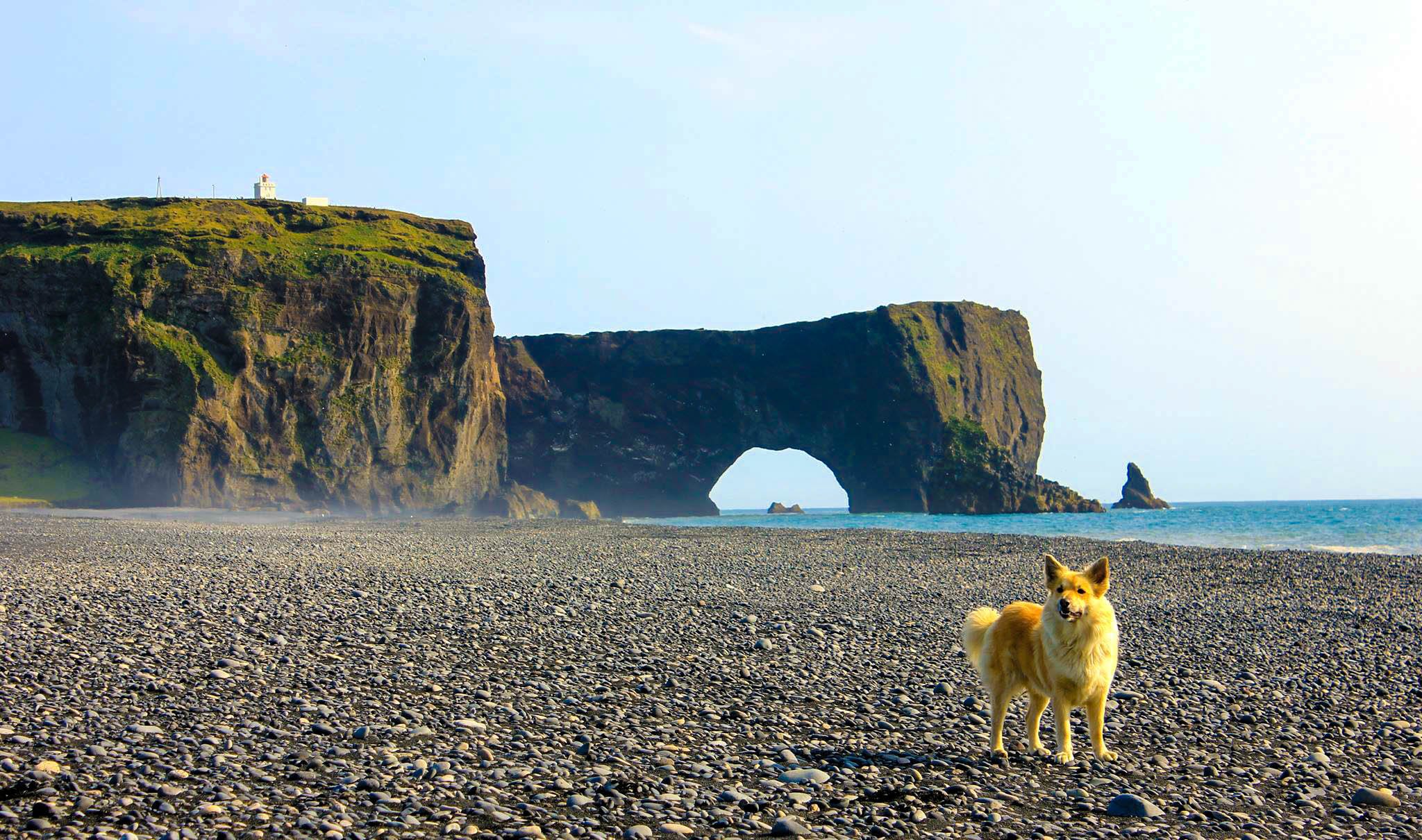 Private South Coast & Katla Ice Cave Expedition