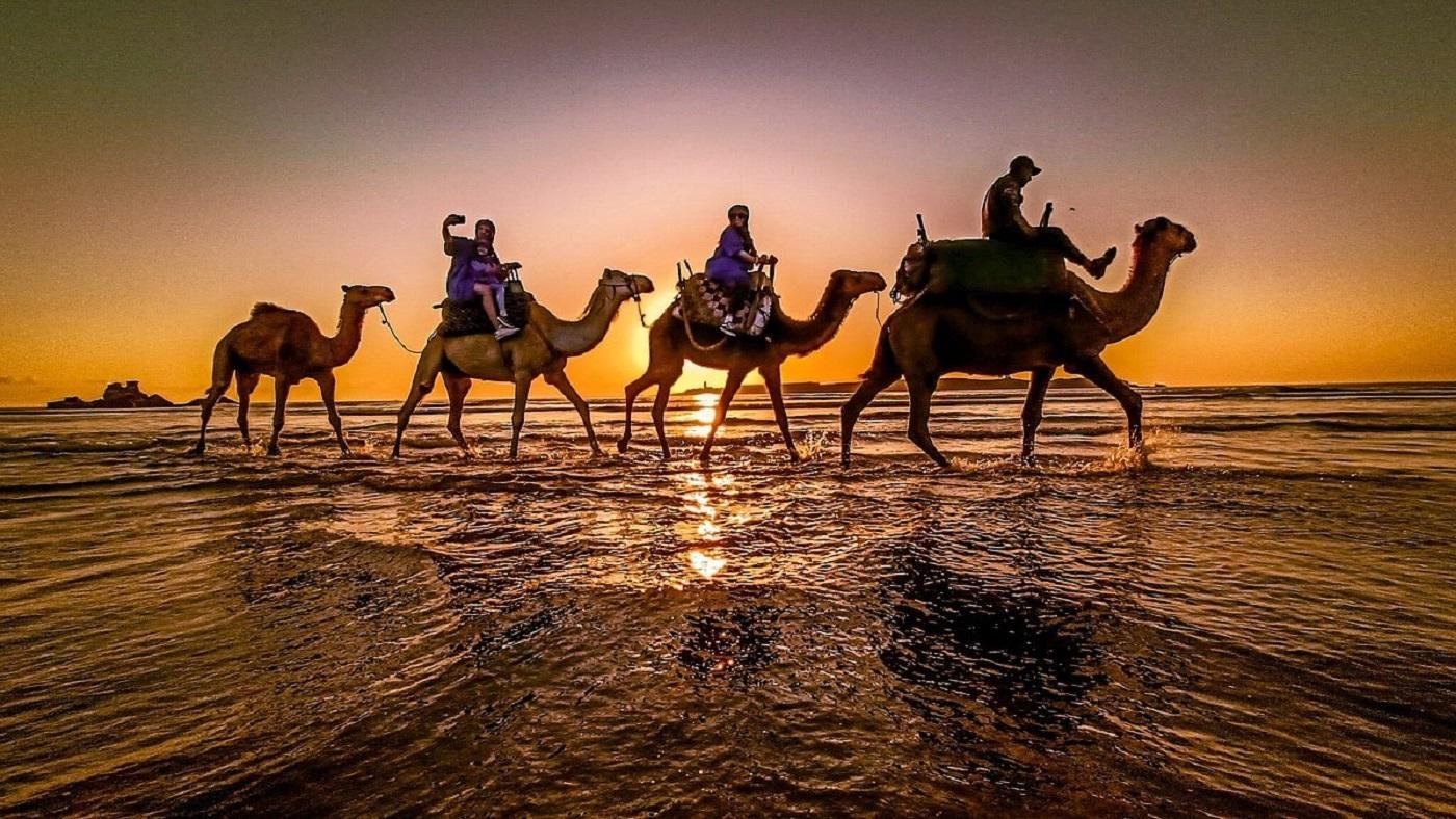 Paradise Valley and Desert Dune Camel Trek from Agadir
