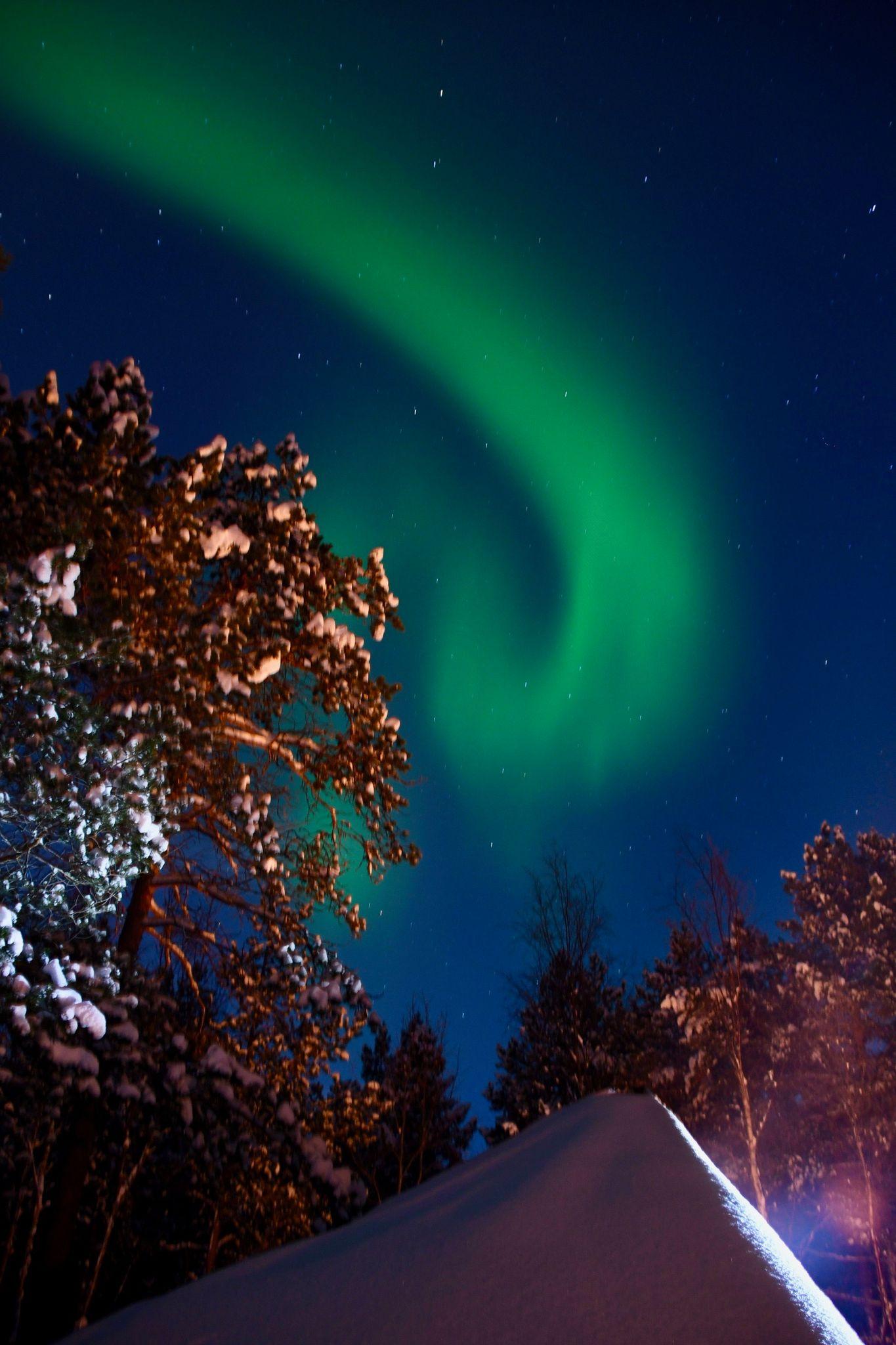 sleigh ride under the northern lights
