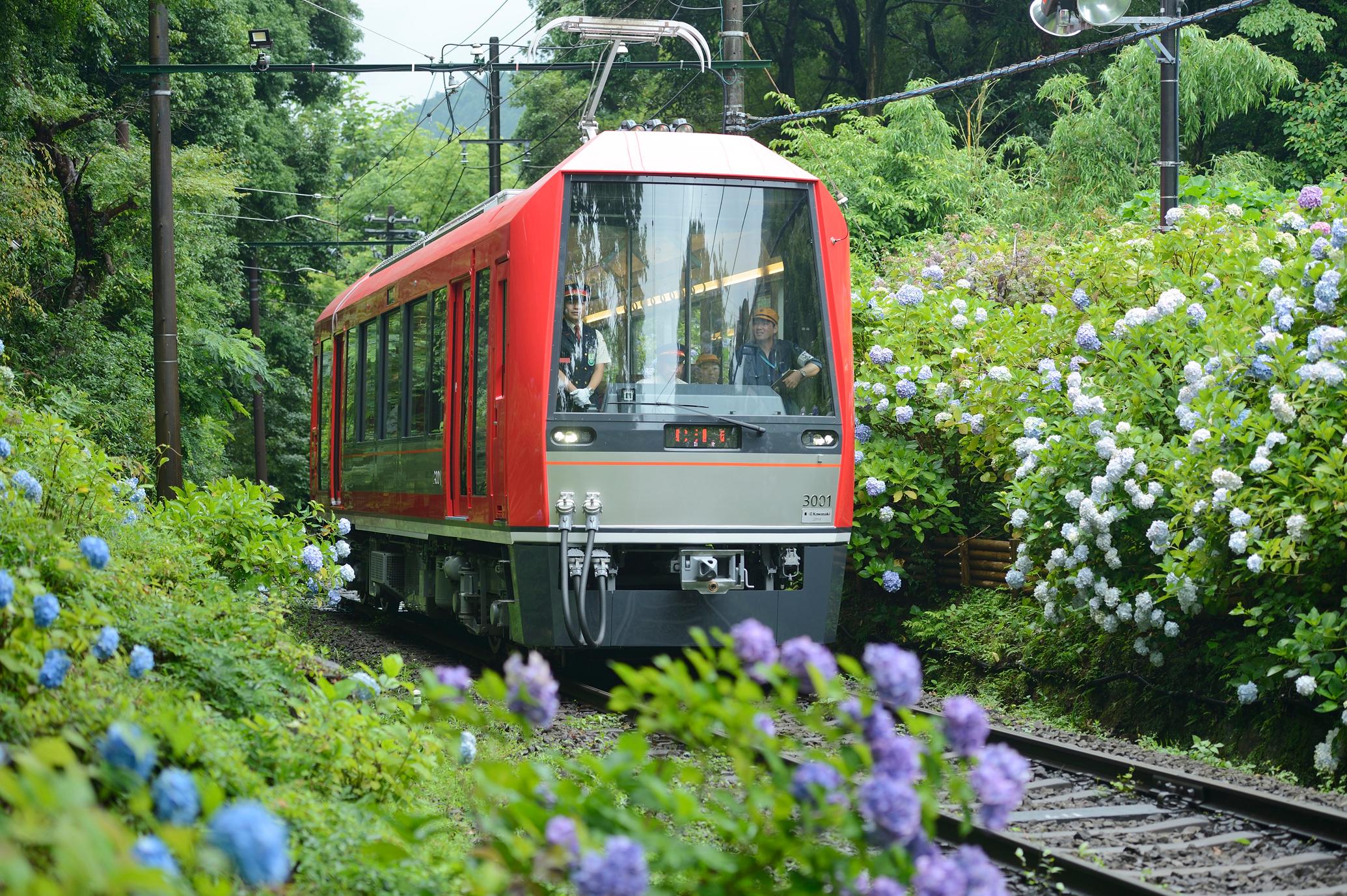 Hakone Free Pass: Unlimited Rides & Sightseeing Discounts
