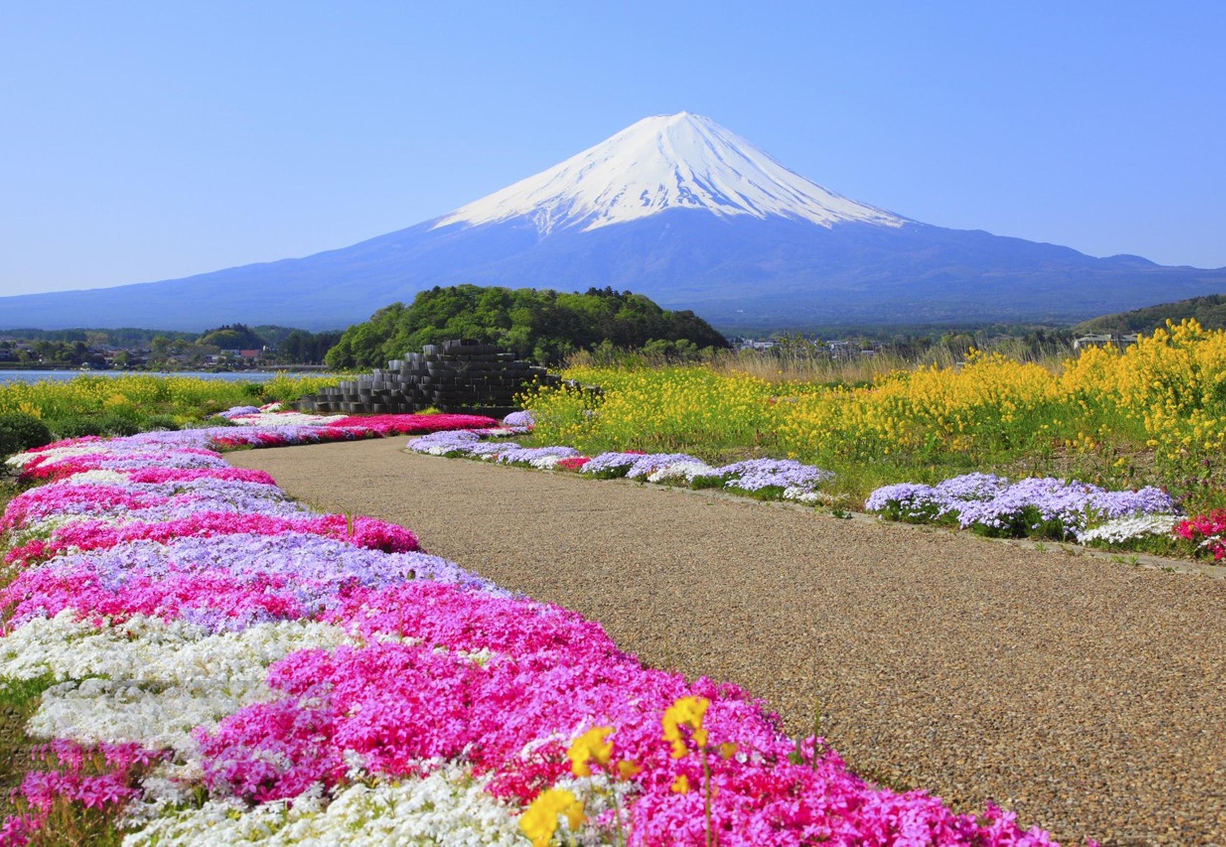 Mount Fuji Day Tour: Lake Kawaguchi, Iconic Photo Spots & Fuji-Q Highland