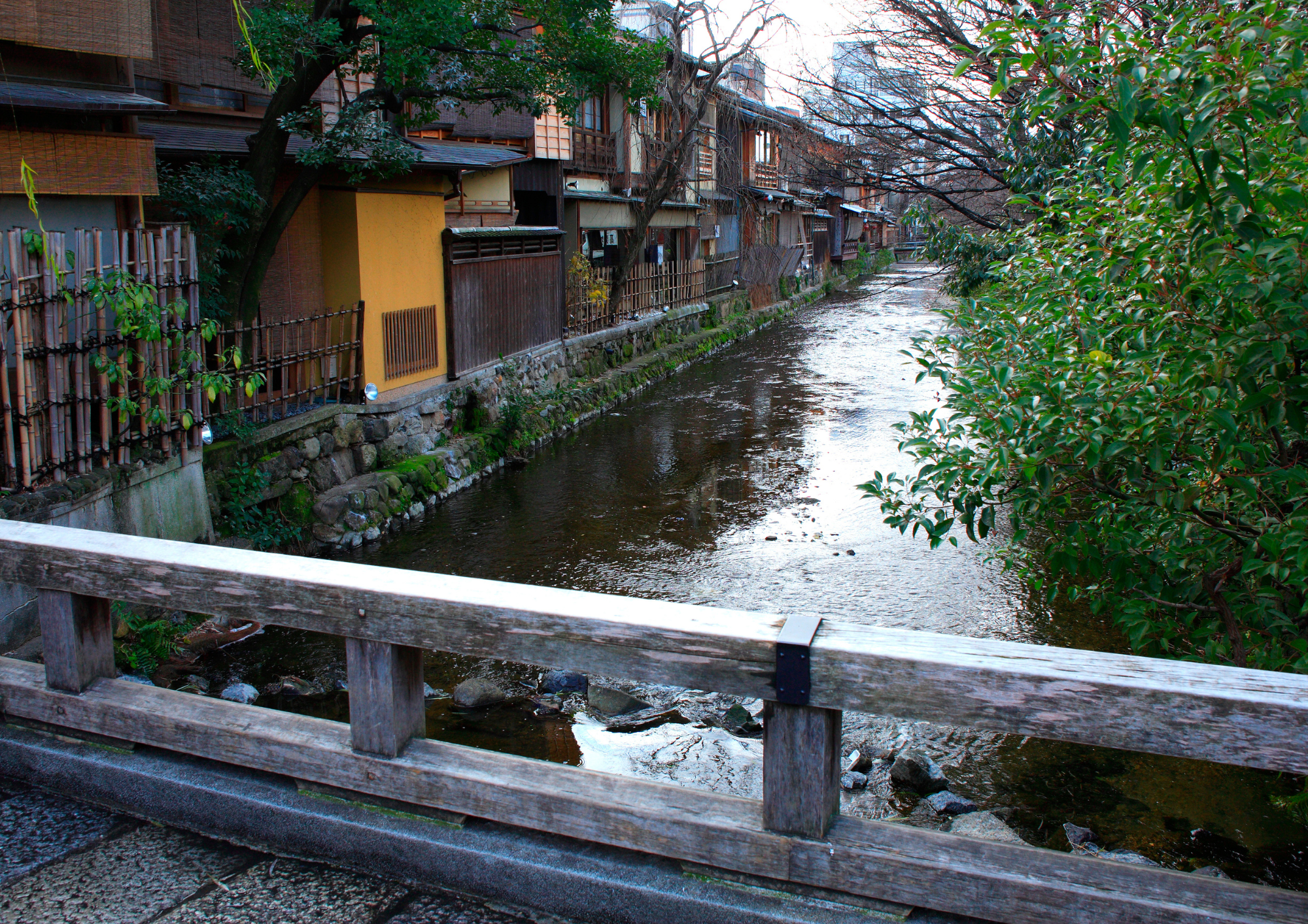 Tour a pie por Gion, espectáculo de aprendiz de geisha y juego tradicional de abanico