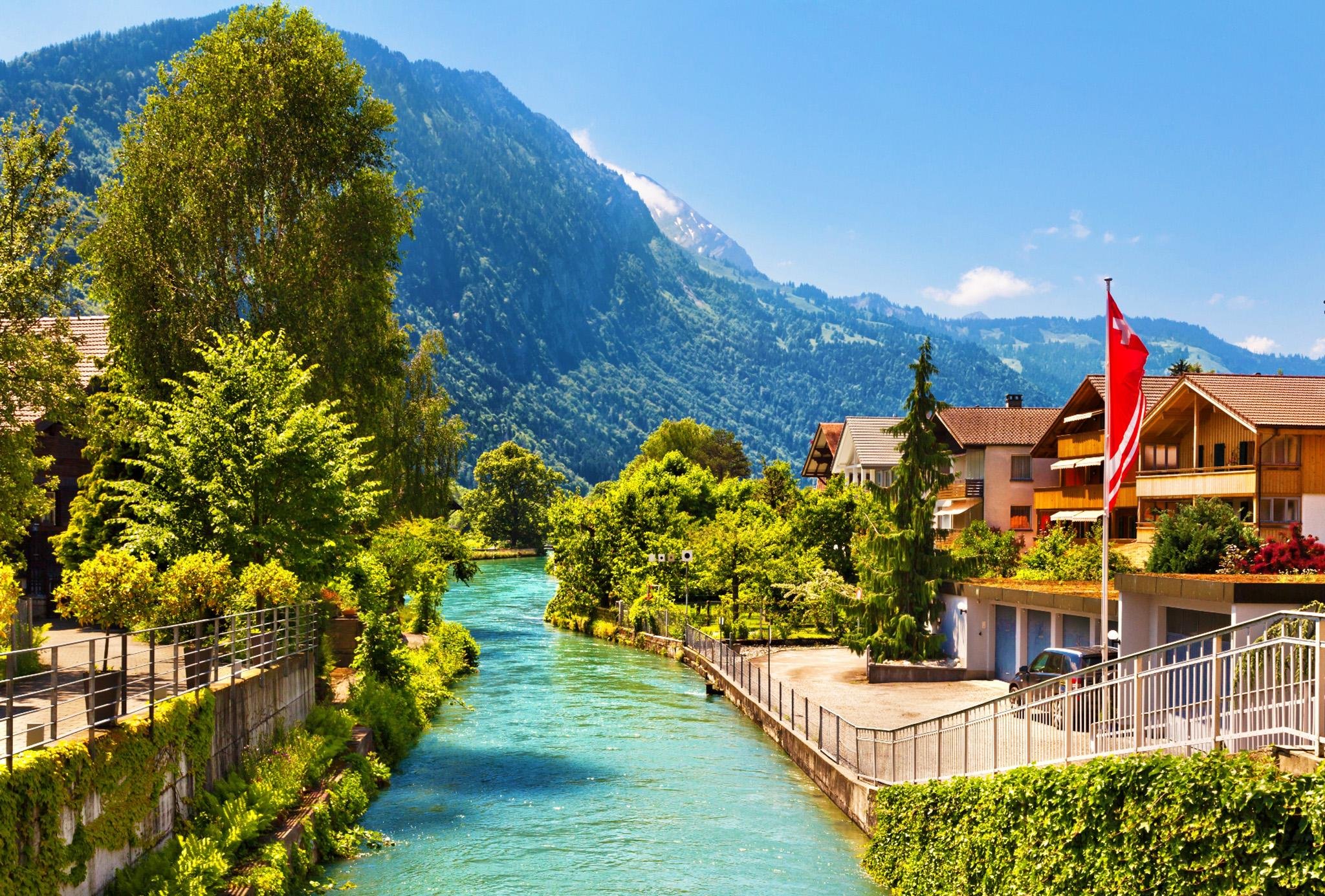 Zurich to Interlaken Skydiving & Alpine Flight Experience
