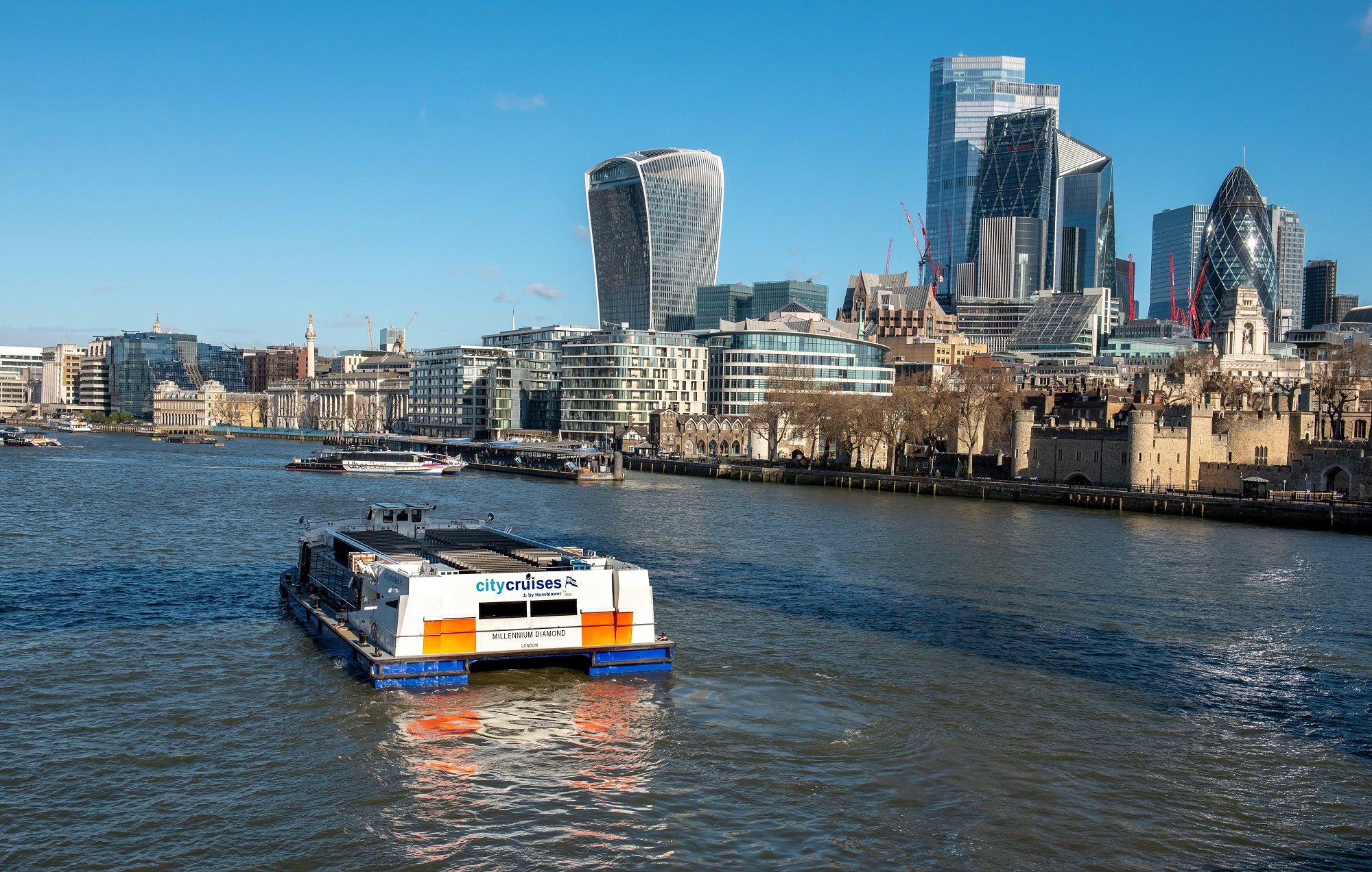 Thames lunch cruise from Tower Pier — image 9