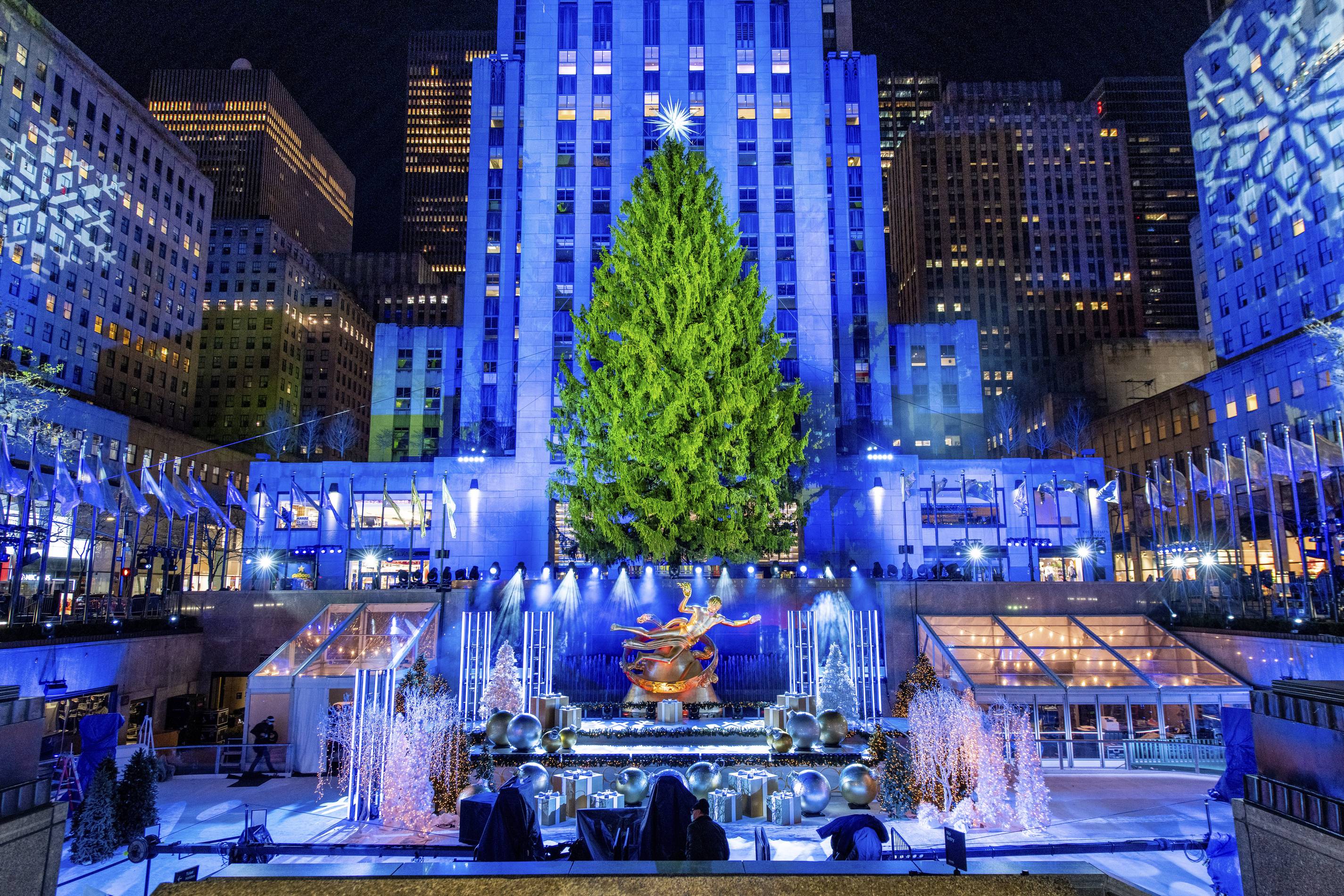 Magical Christmas Lights Horse Carriage Ride