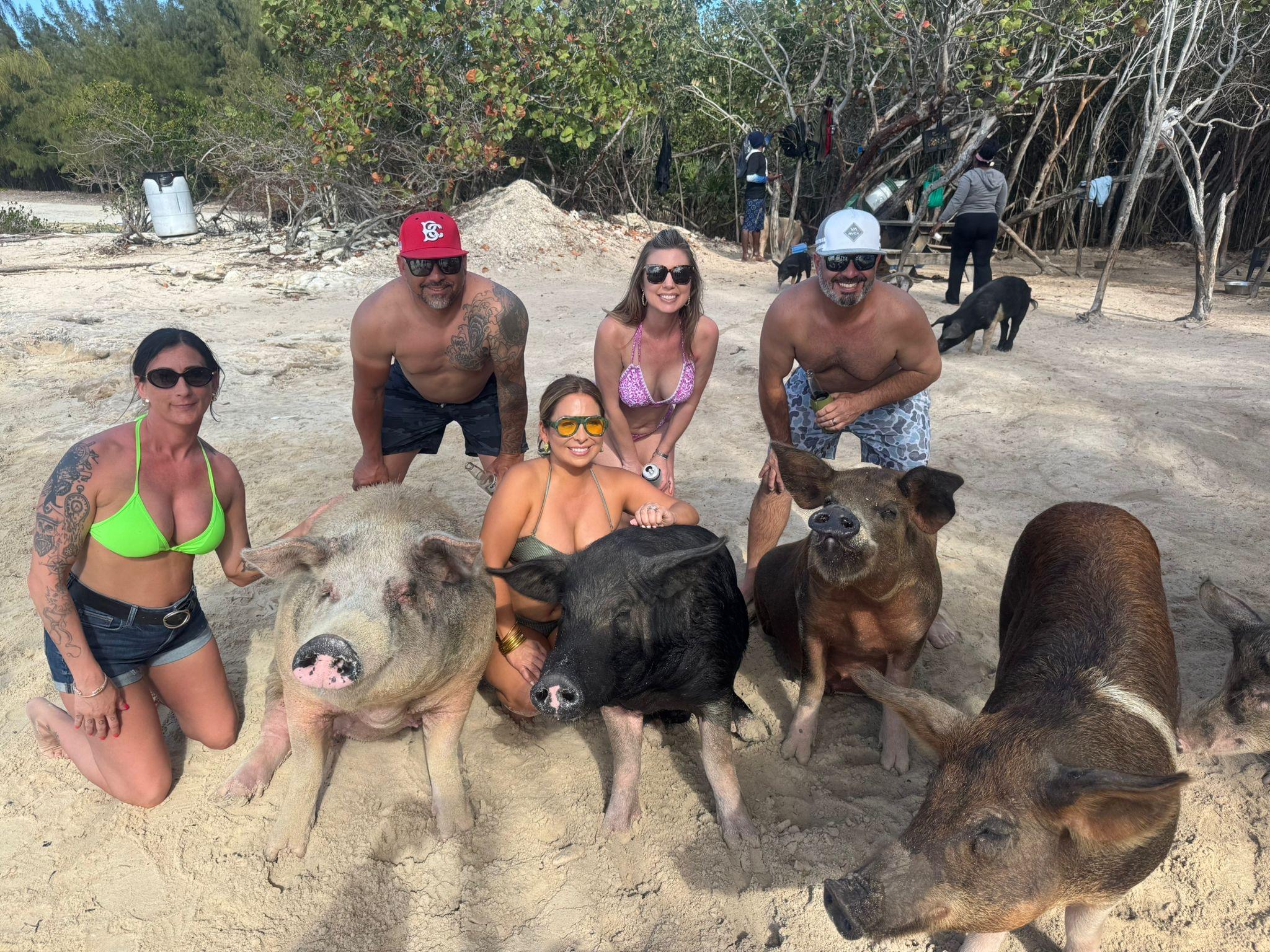 Private Bahamas Boat Charter: Pigs, Turtles & Islands