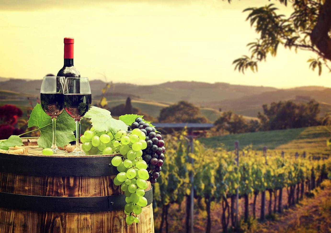Private Ronda Wine Region & Historic Town Tour from Seville