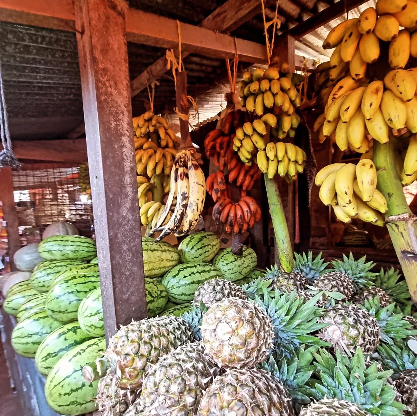 Zanzibar Full-Day: Stone Town, Spice Farm & Prison Island with Lunch
