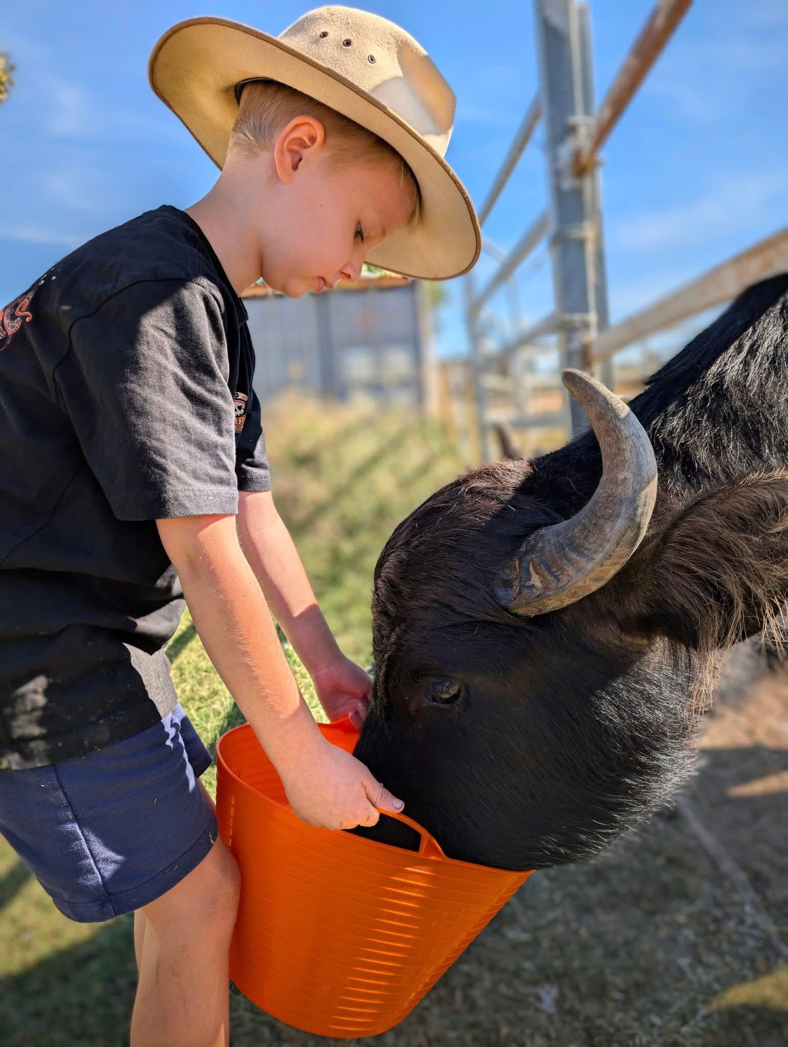 Hectic Valley Farm: Exclusive Behind-the-Scenes Experience