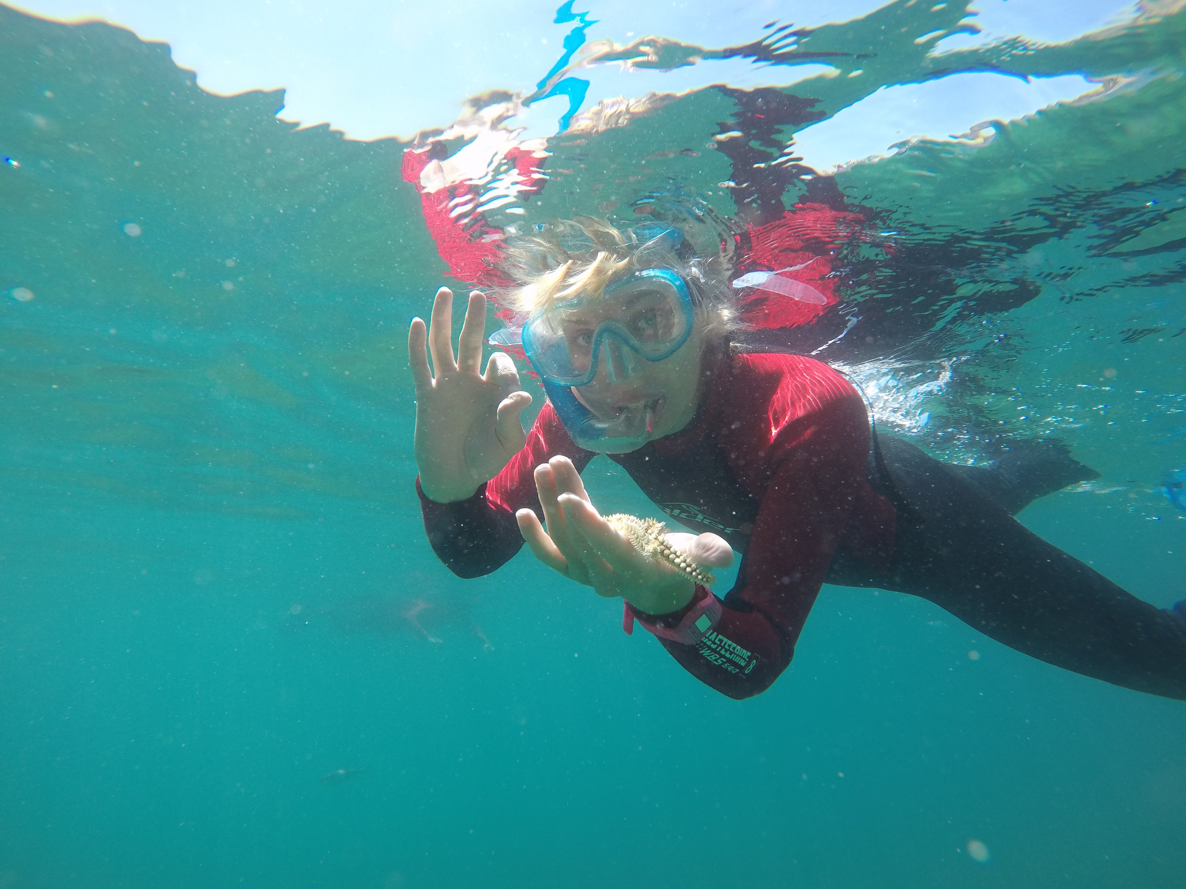 Arrábida Natural Park Snorkeling Adventure