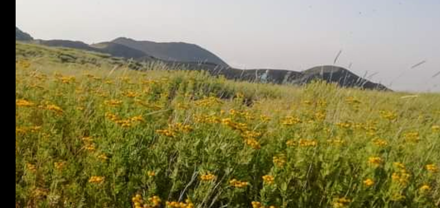 Mount Etna Half-Day Exploration from Taormina & Surrounds
