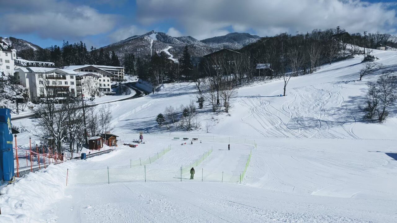 1 Day Tour: Snow Monkeys & Snow Fun in Shiga Kogen - 2026 (Verified Reviews)