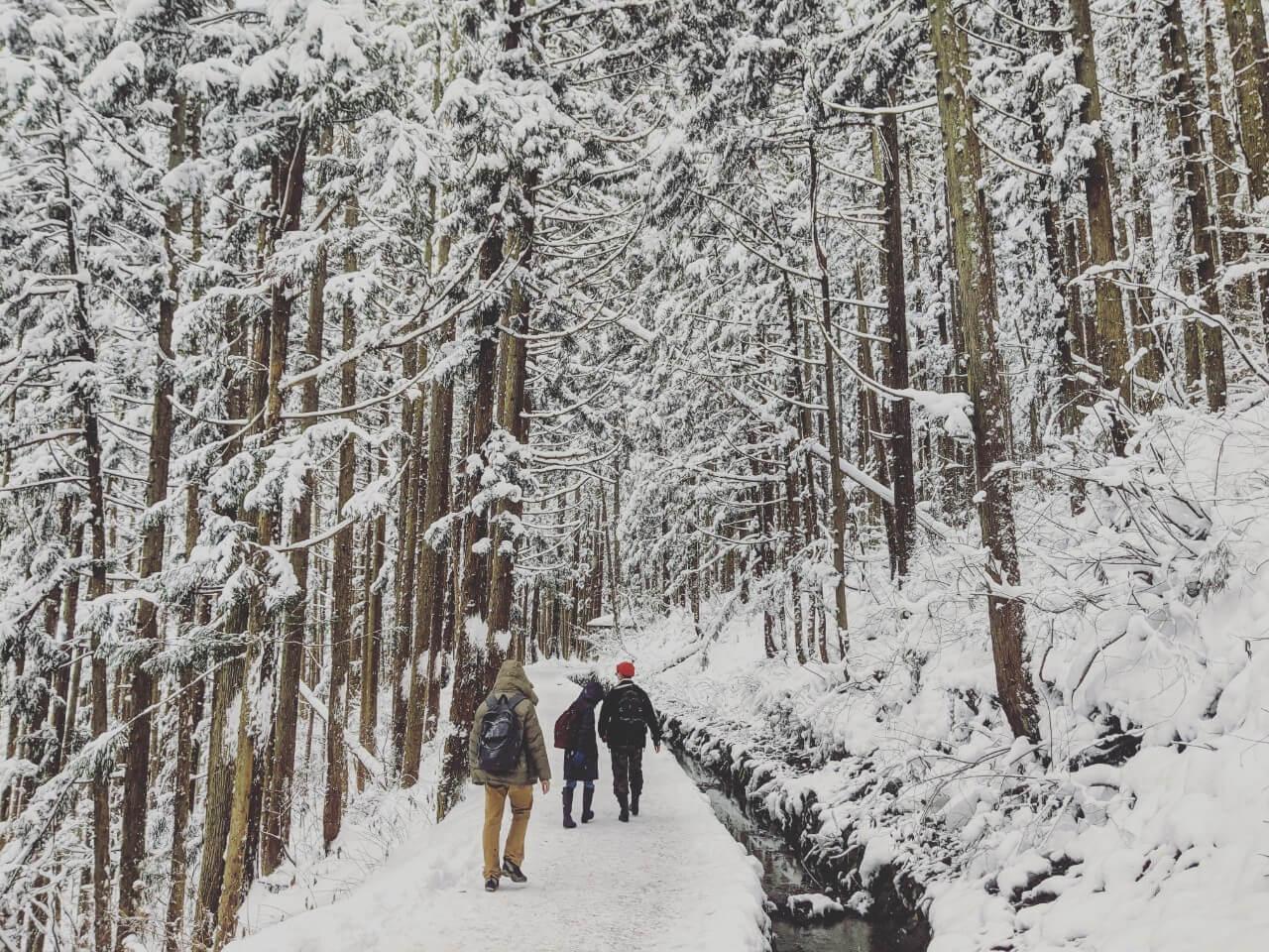 Nagano Snow Monkeys, Zenkoji Temple & Sake Day Tour
