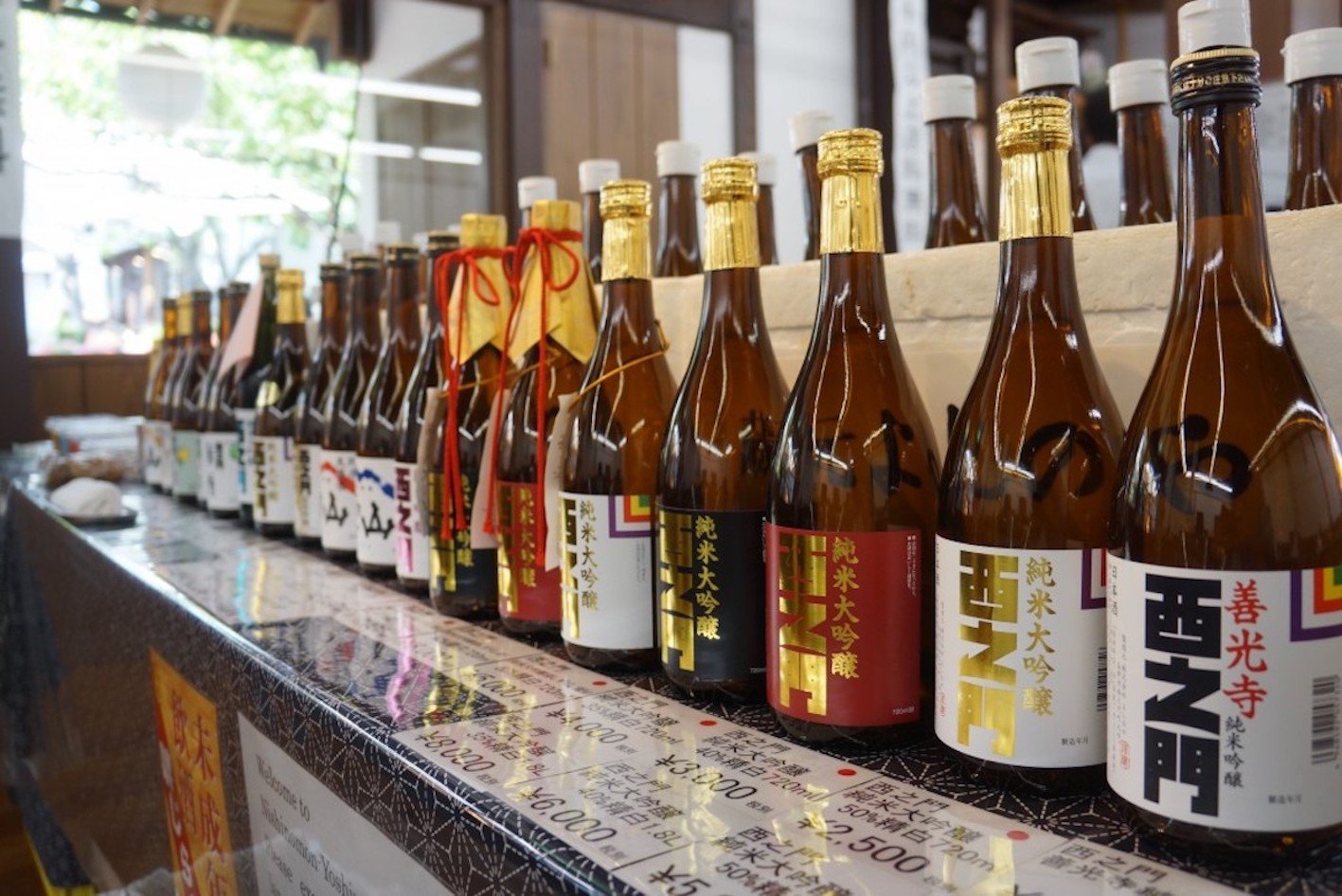 Nagano Snow Monkeys, Zenkoji Temple & Sake Day Tour