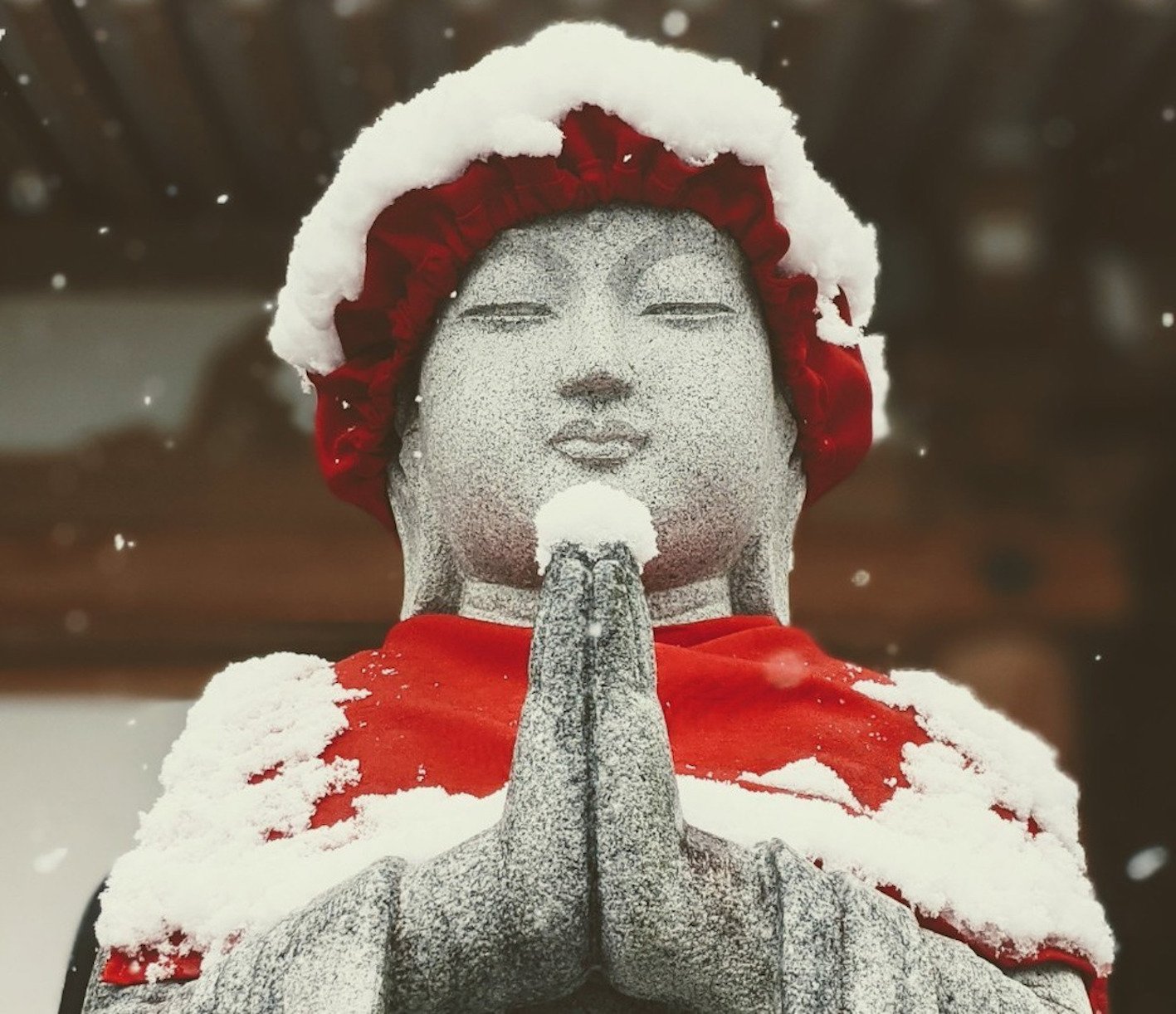 Nagano Snow Monkeys, Zenkoji Temple & Sake Day Tour